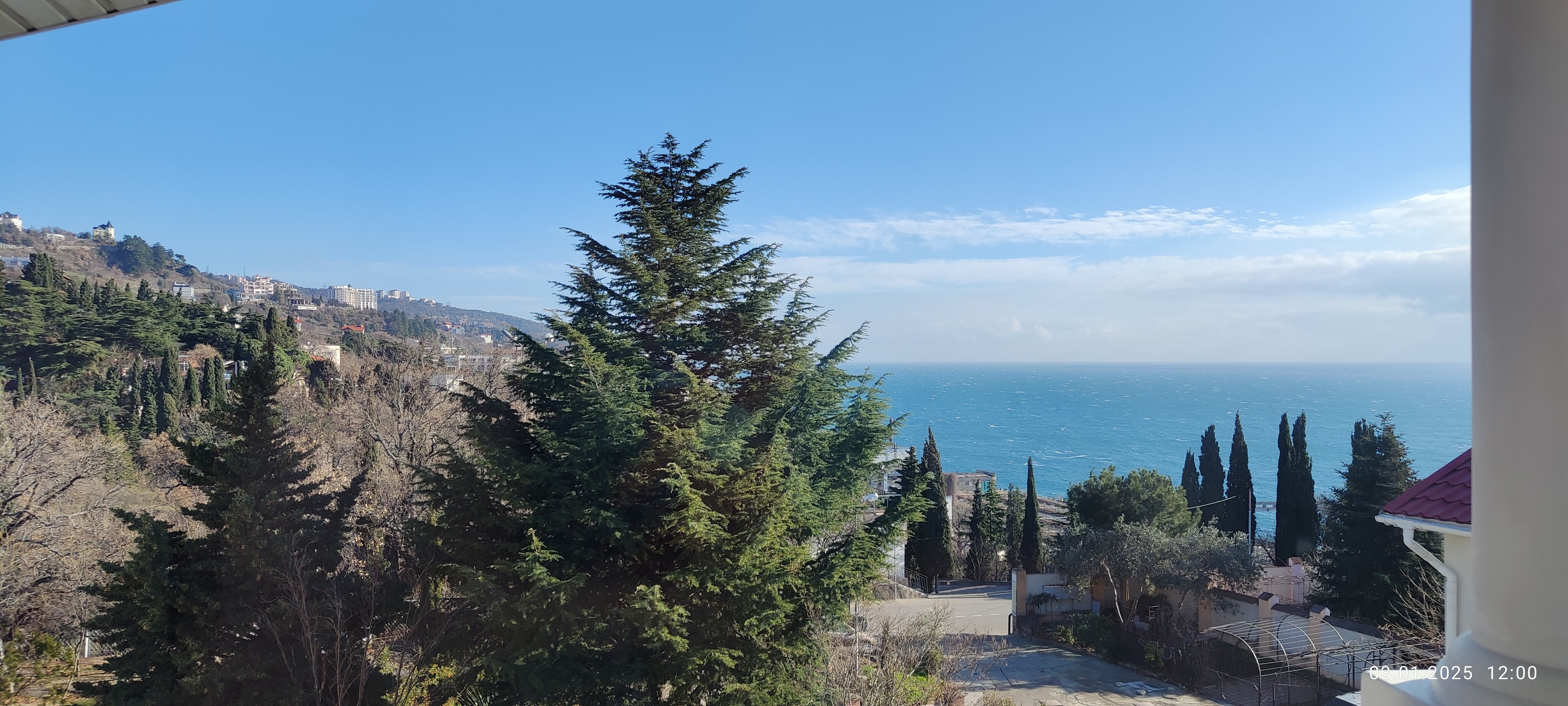 Фото Шафран