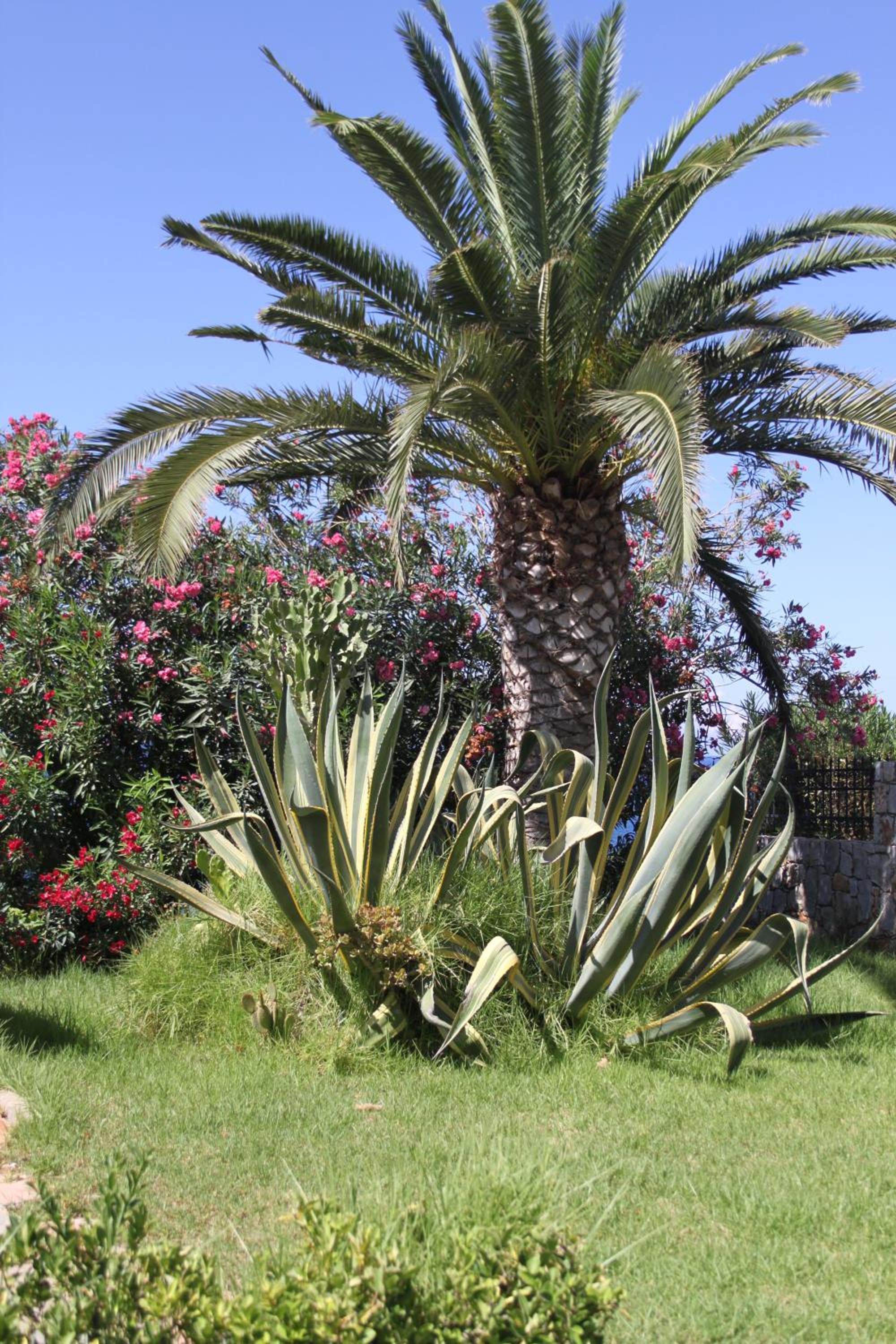 Фото Villa Irini