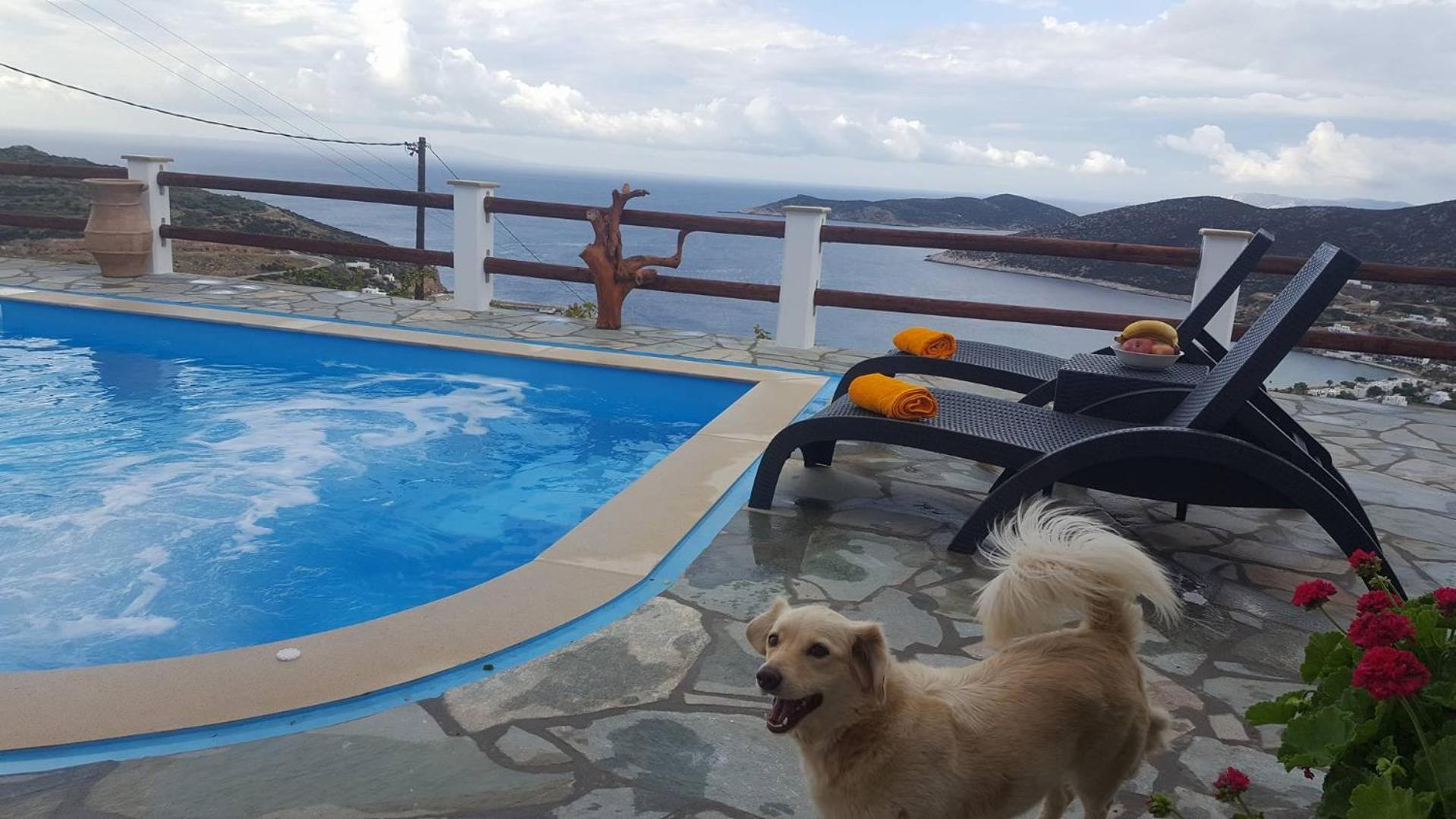 Фото Villa Pelagos