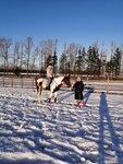 Konno-sportivny klub Gatchinsky (derevnya Bolshiye Kolpany, Dorozhnaya ulitsa, 3/5), horse riding