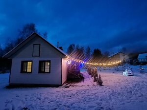 Елки-палки