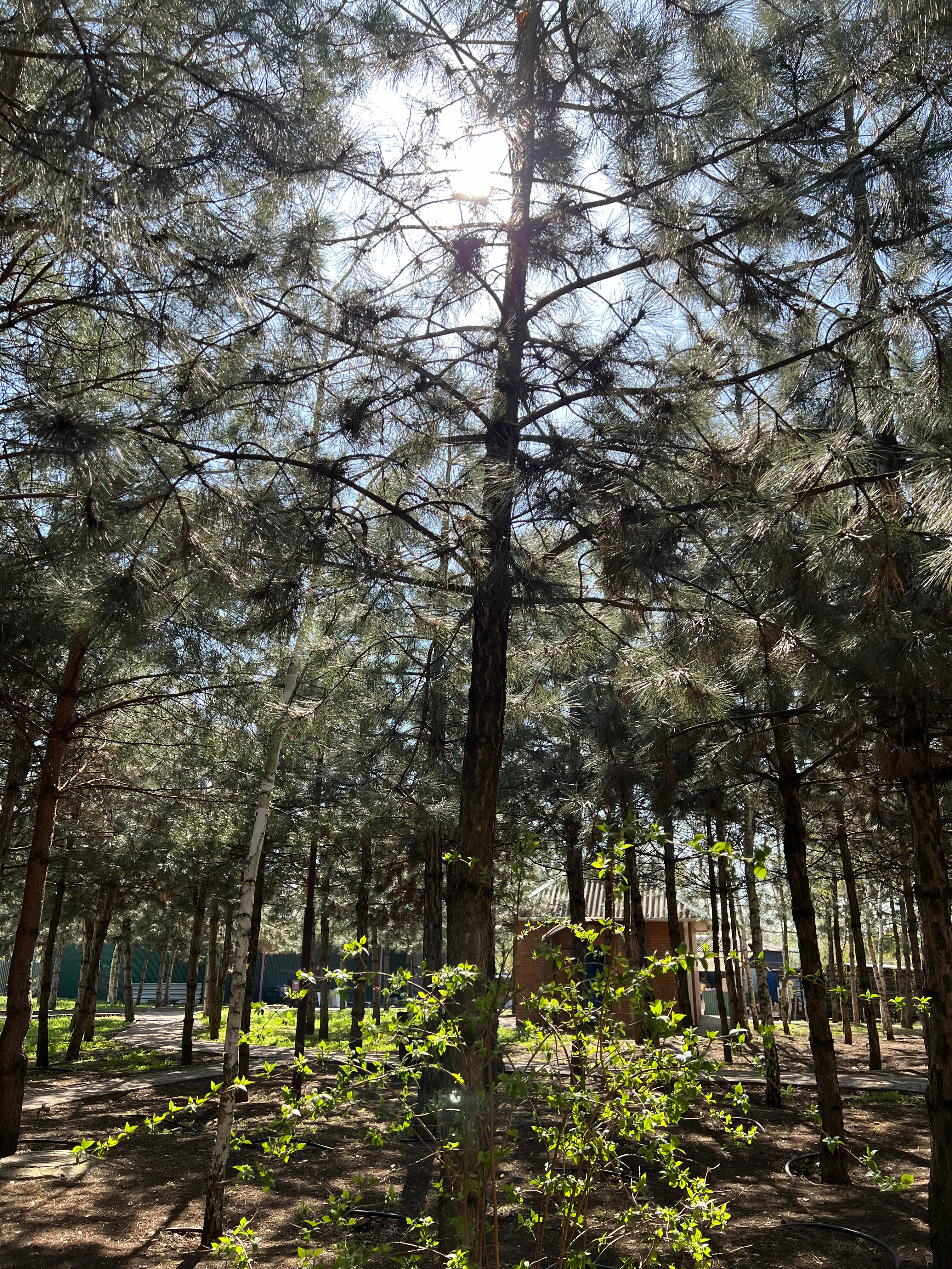 Фото 4 сезона