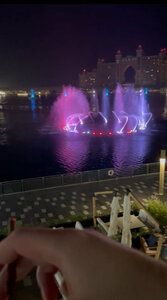 Harbor971 (Nakheel Mall, Palm Jumeirah, Jumeirah, Dubai), cafe