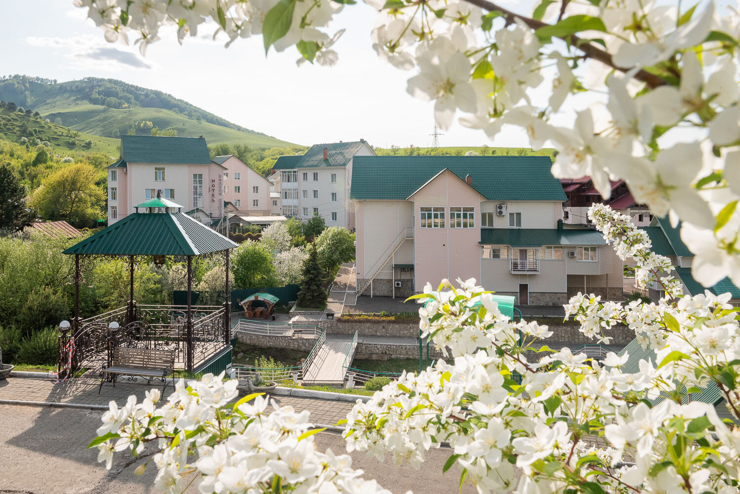 Фото Долина Алтая