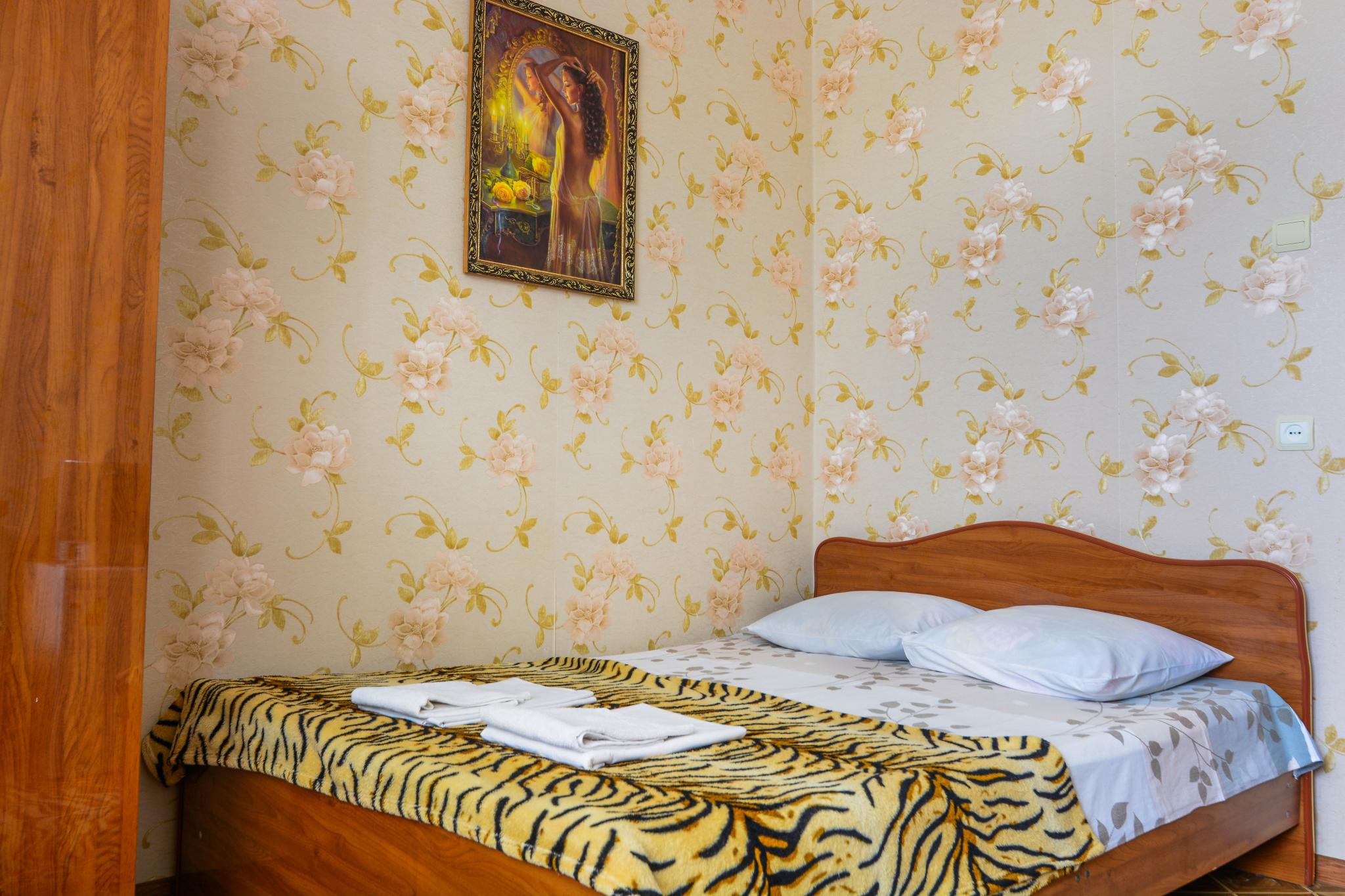 Фото Звёздочка