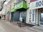 Picnic (Dina Nurpeisova Street, 14/3) ، محل بقالة