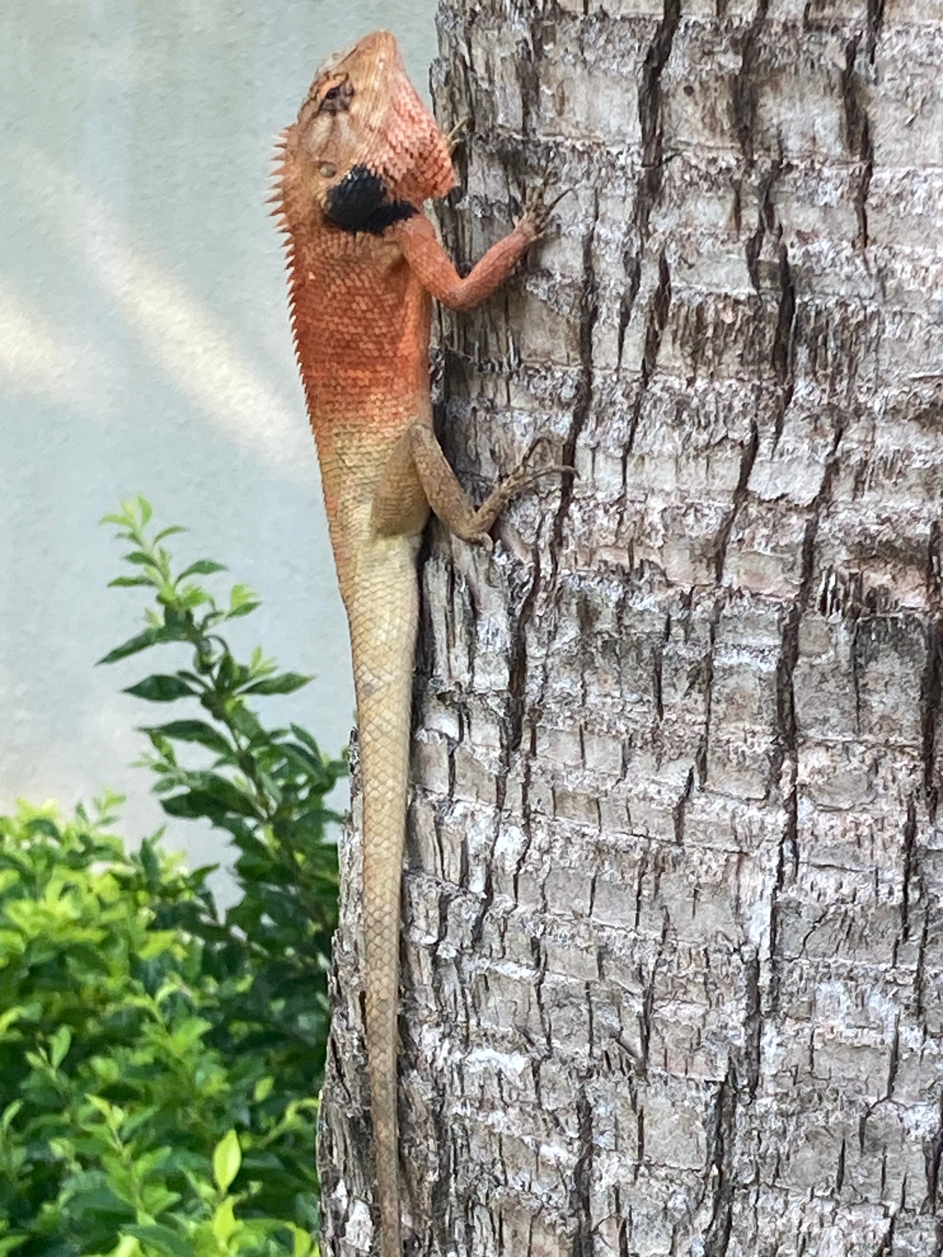 Фото Pullman Phu Quoc Beach Resort