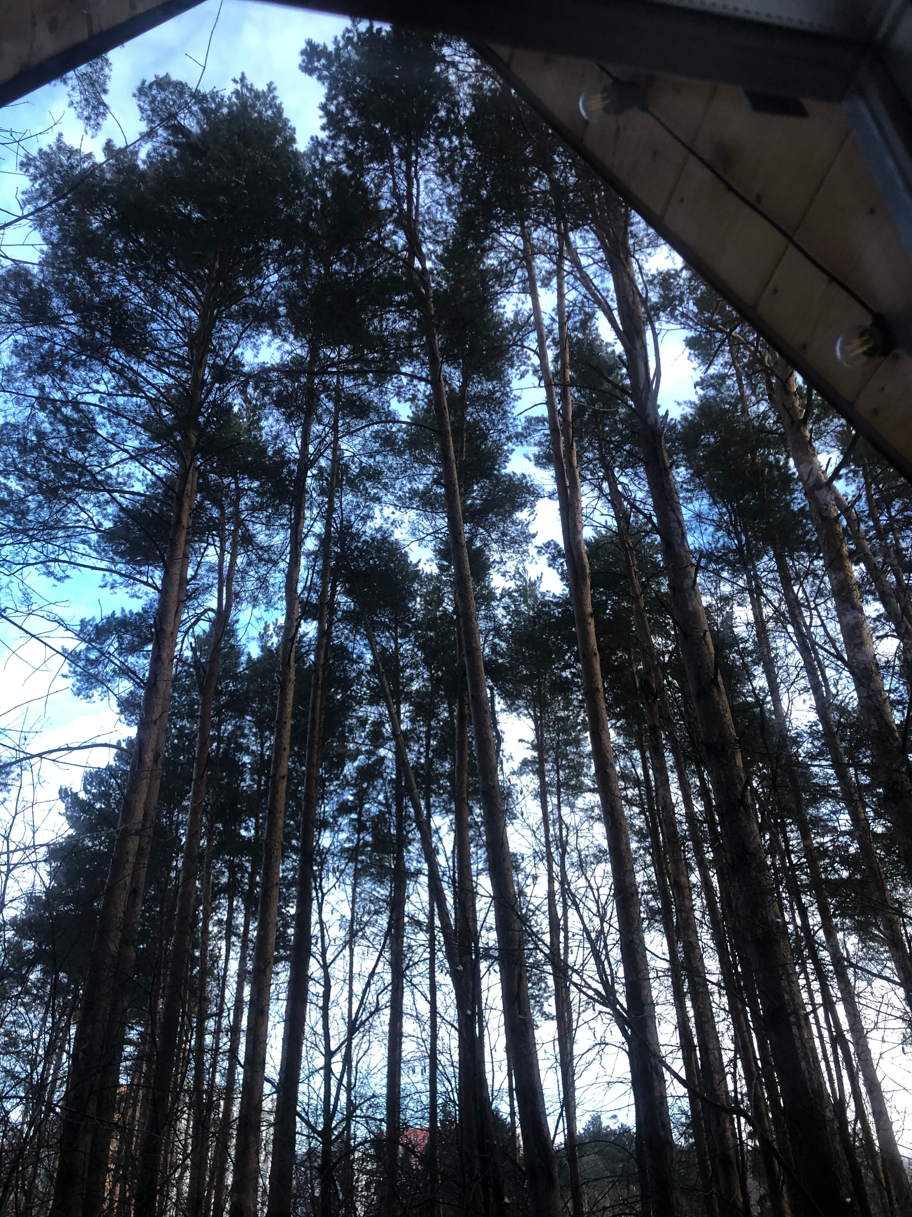 Фото Дрожжино парк