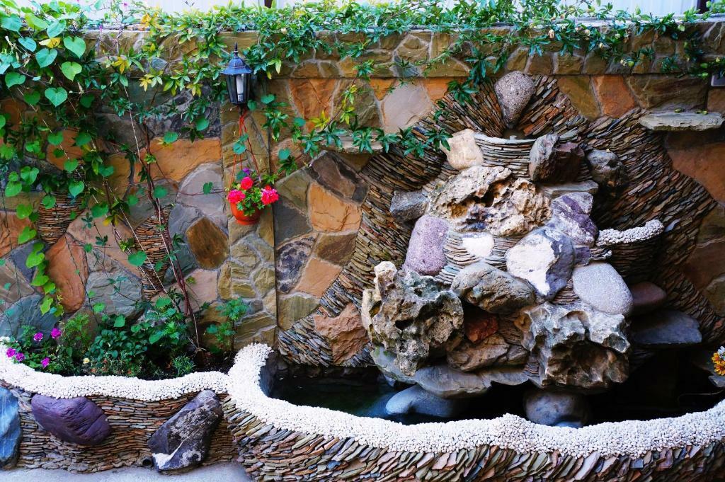 Фото Розмарин