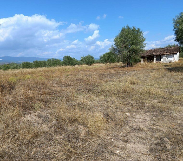 Real estate agency Albayrak Emlak Manisa, Manisa, photo