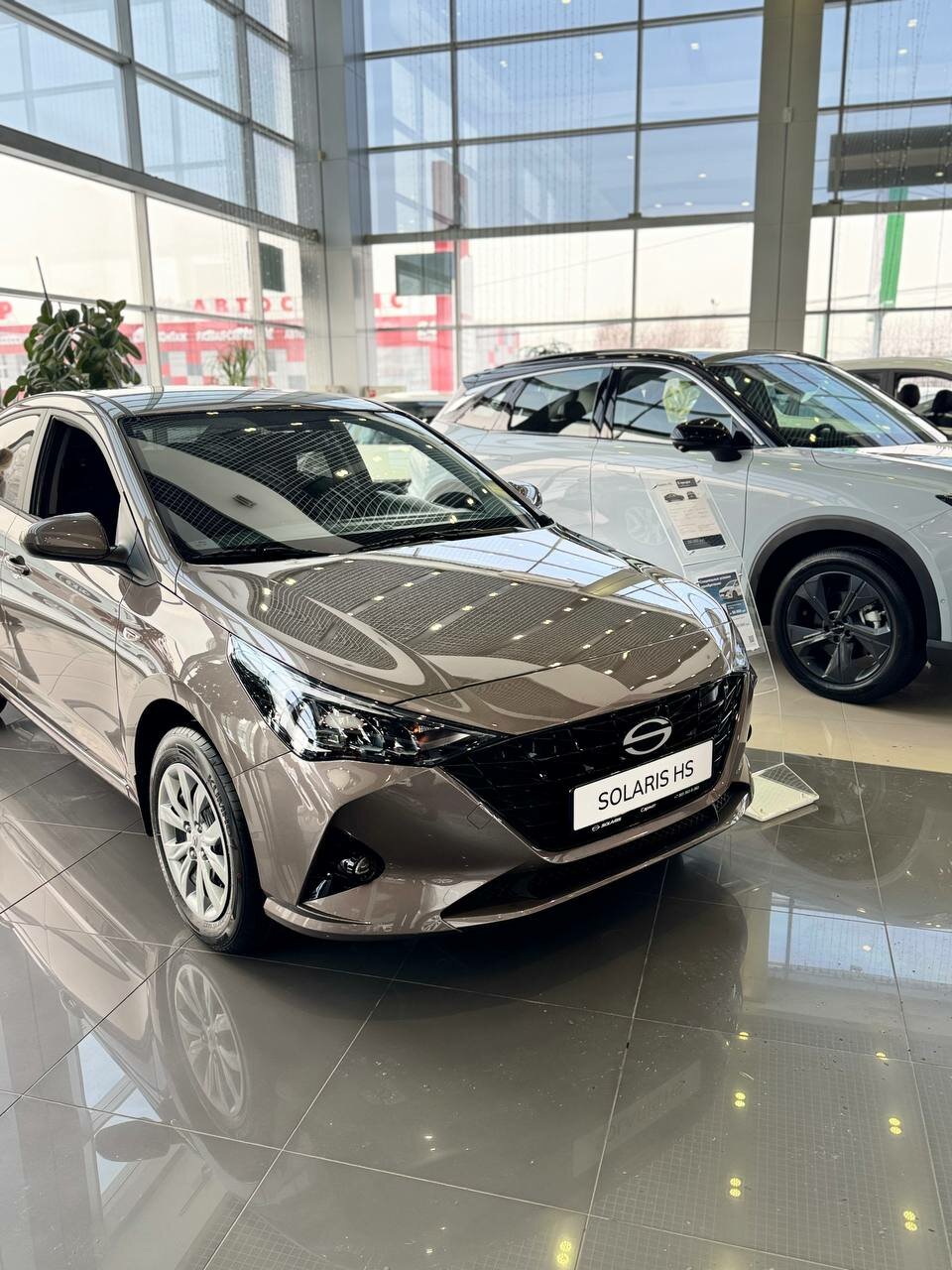 photo Solaris, Сармат