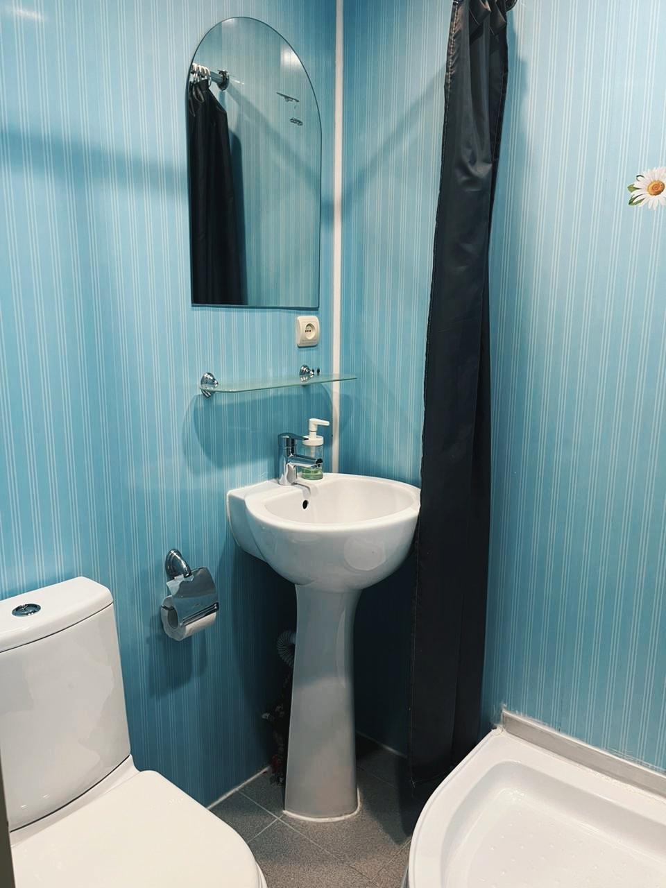 Фото Снегири