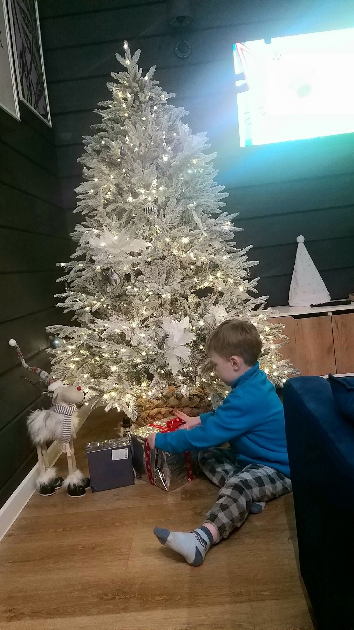 Фото Forest camp