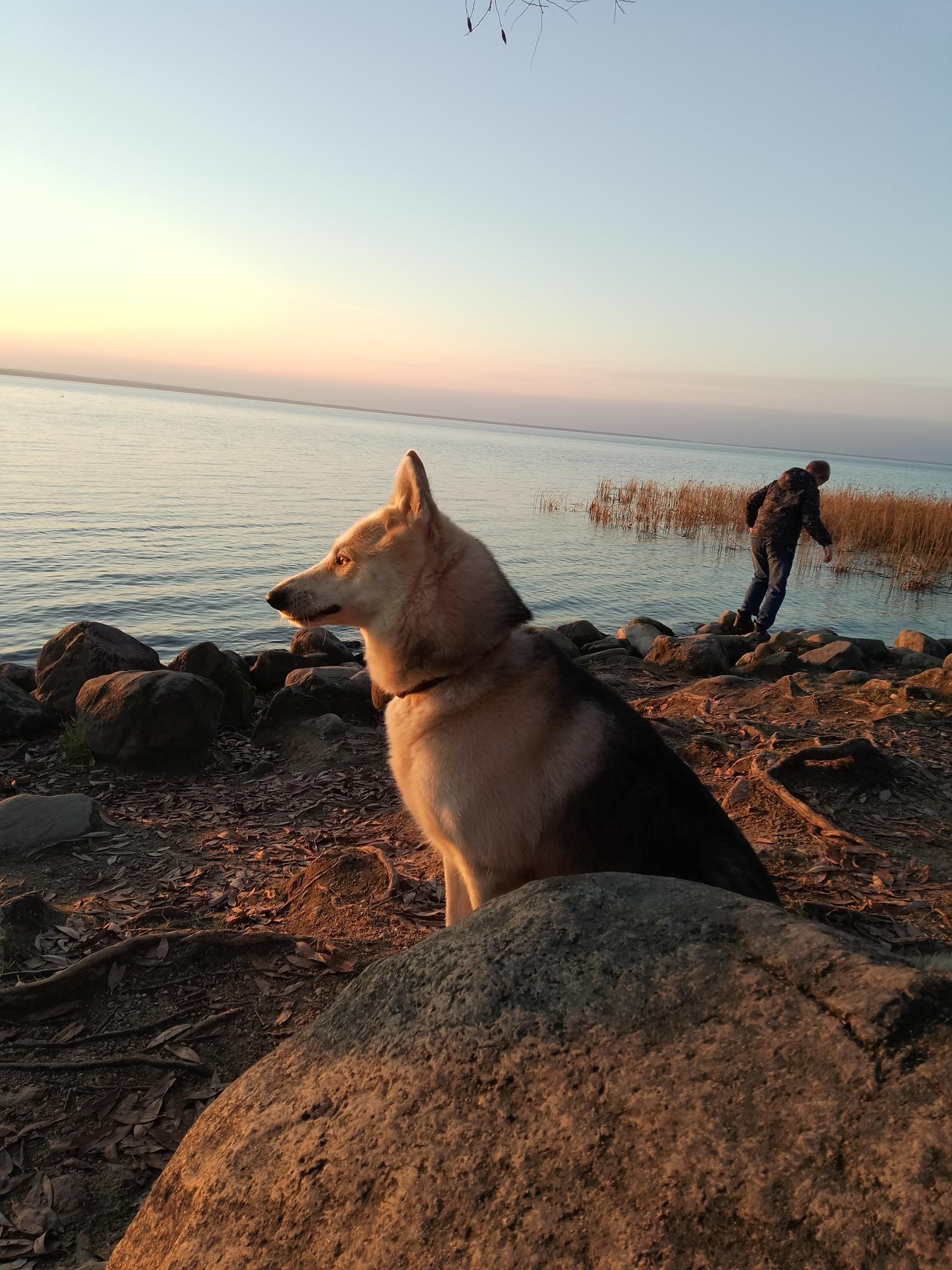 Фото Подгорой