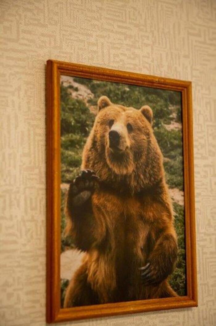 Фото Медведефф