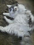 Vetbiokhim (Volgogradsky Avenue, 42), veterinary drugs and equipment