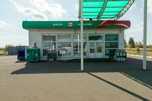 Gas station Tatneft, Penza Oblast, photo