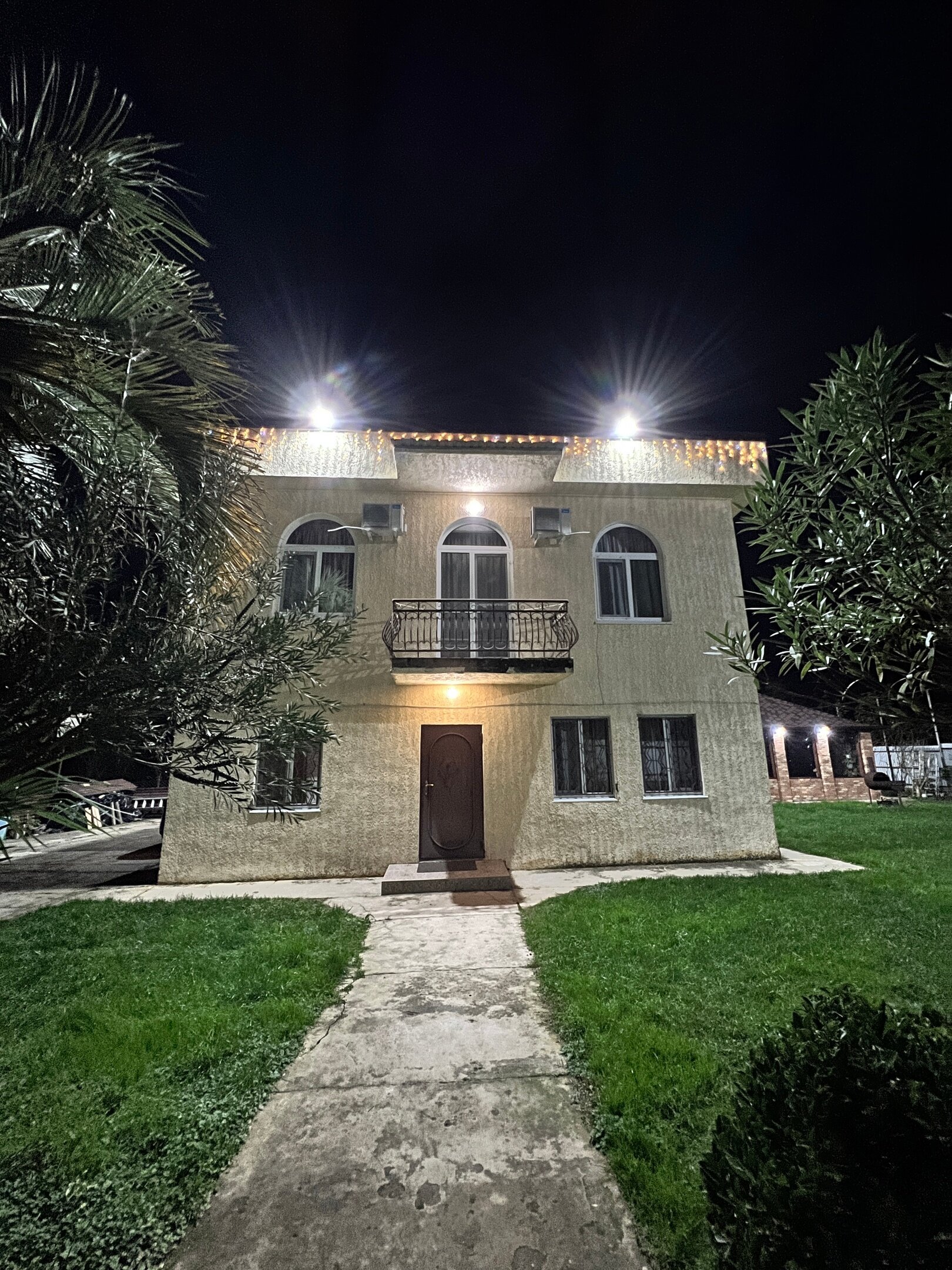 Фото Эвкалипт