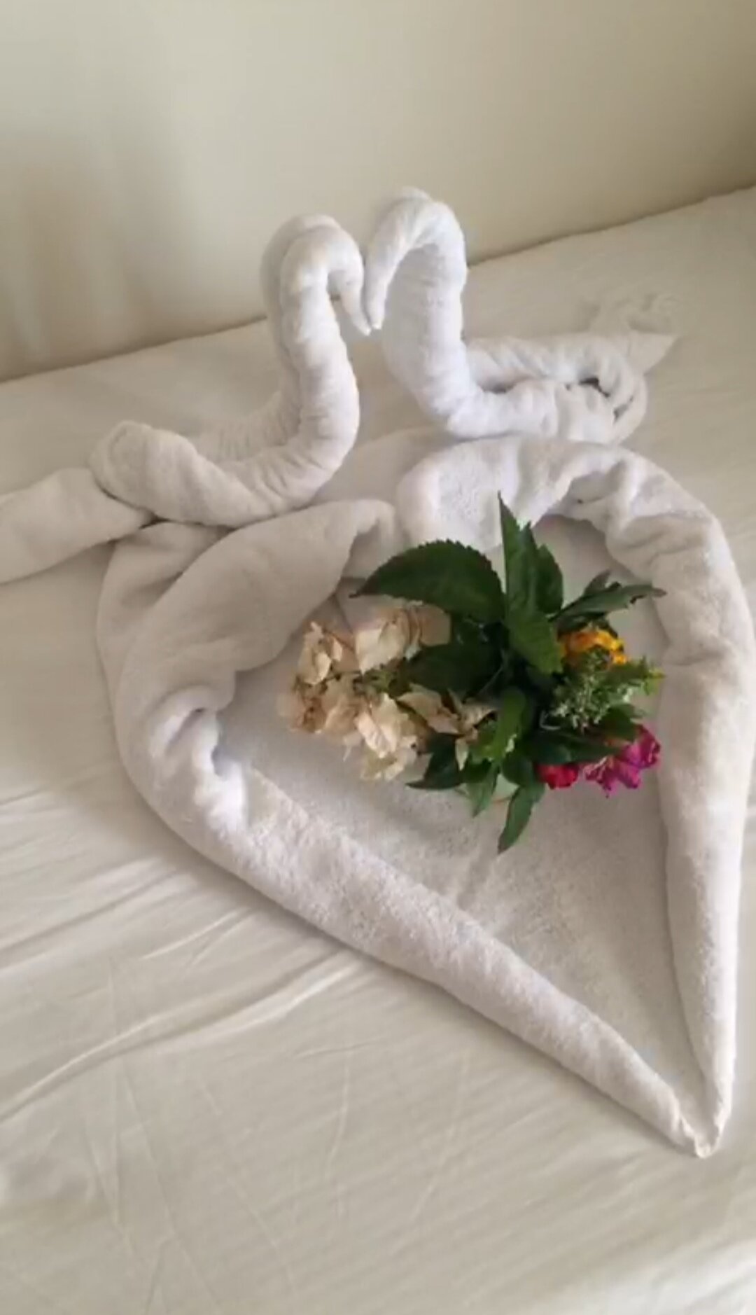 Фото Кариббиан уорлд резорт