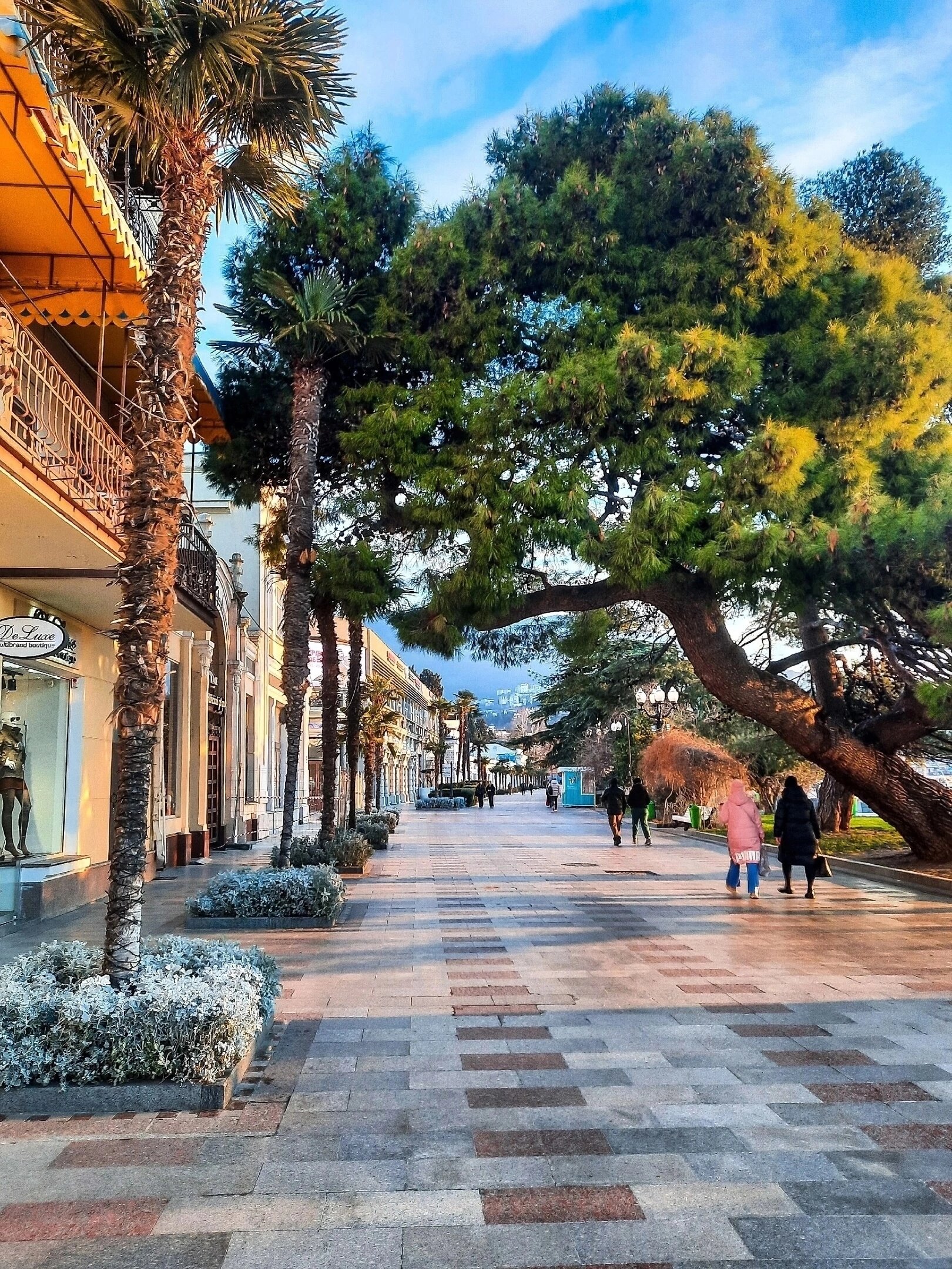 Фото Солярис