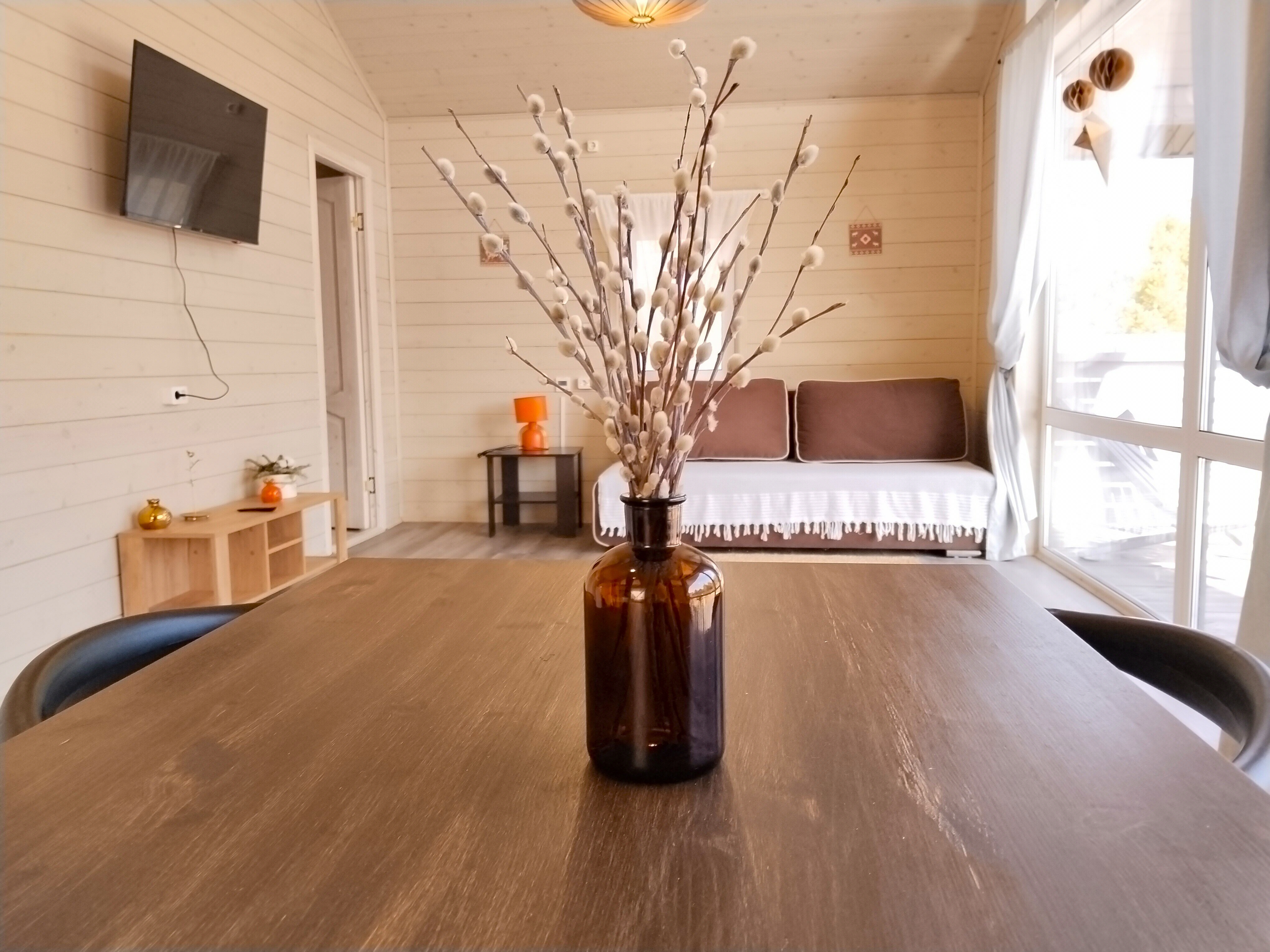 Фото Сосны. Тут