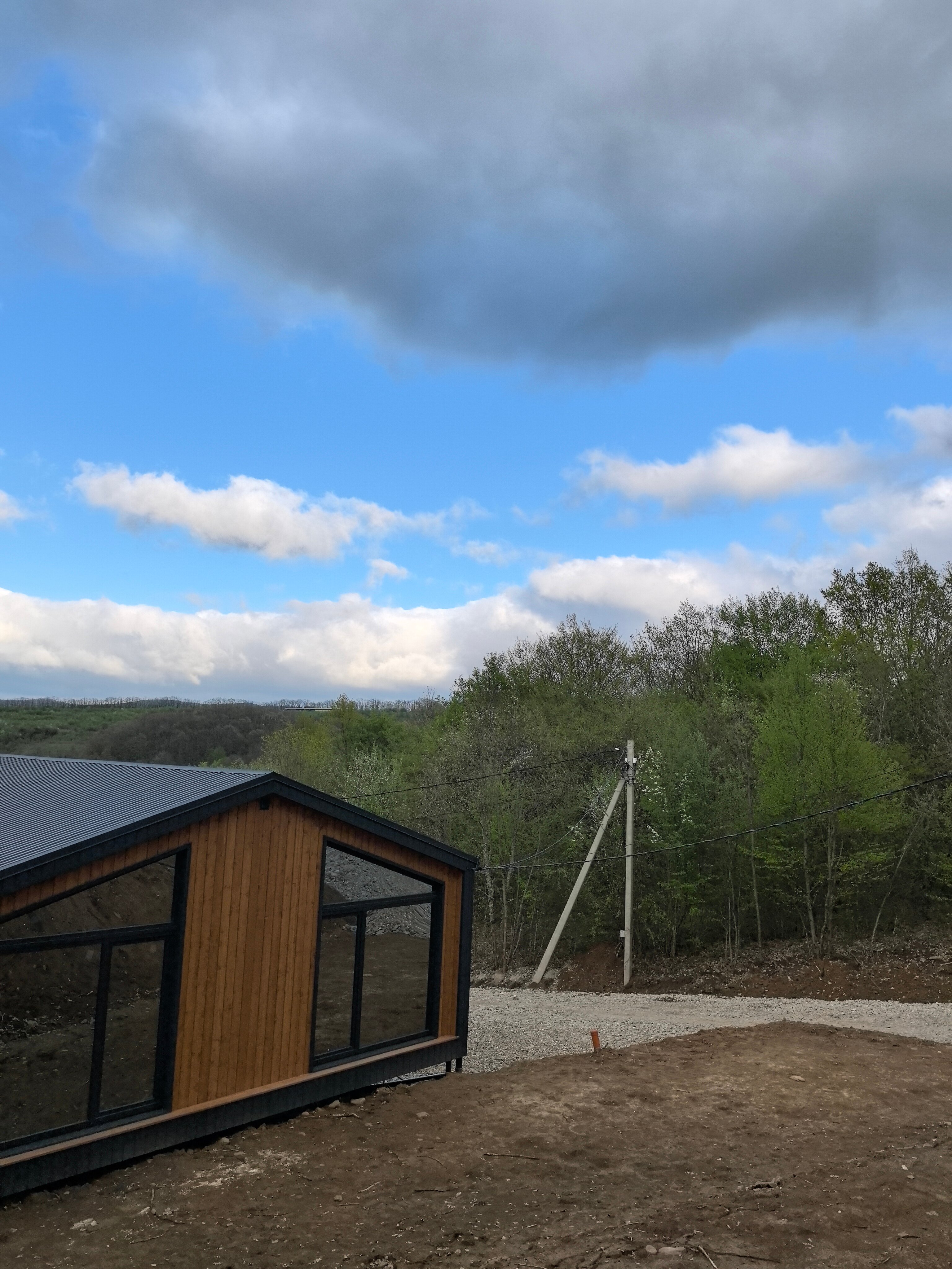 Фото Лес Азовская