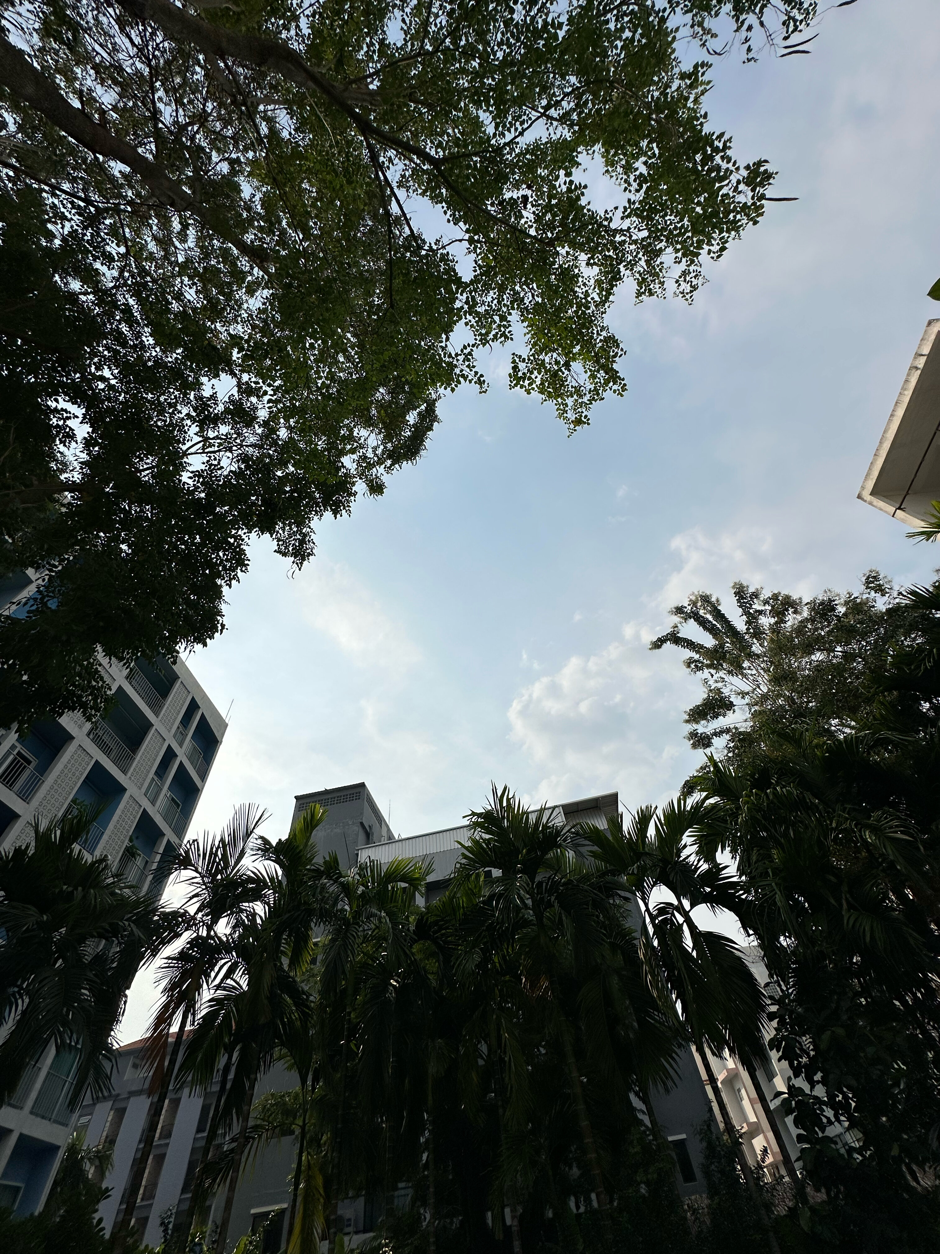 Фото Dee Prom Pattaya Hotel