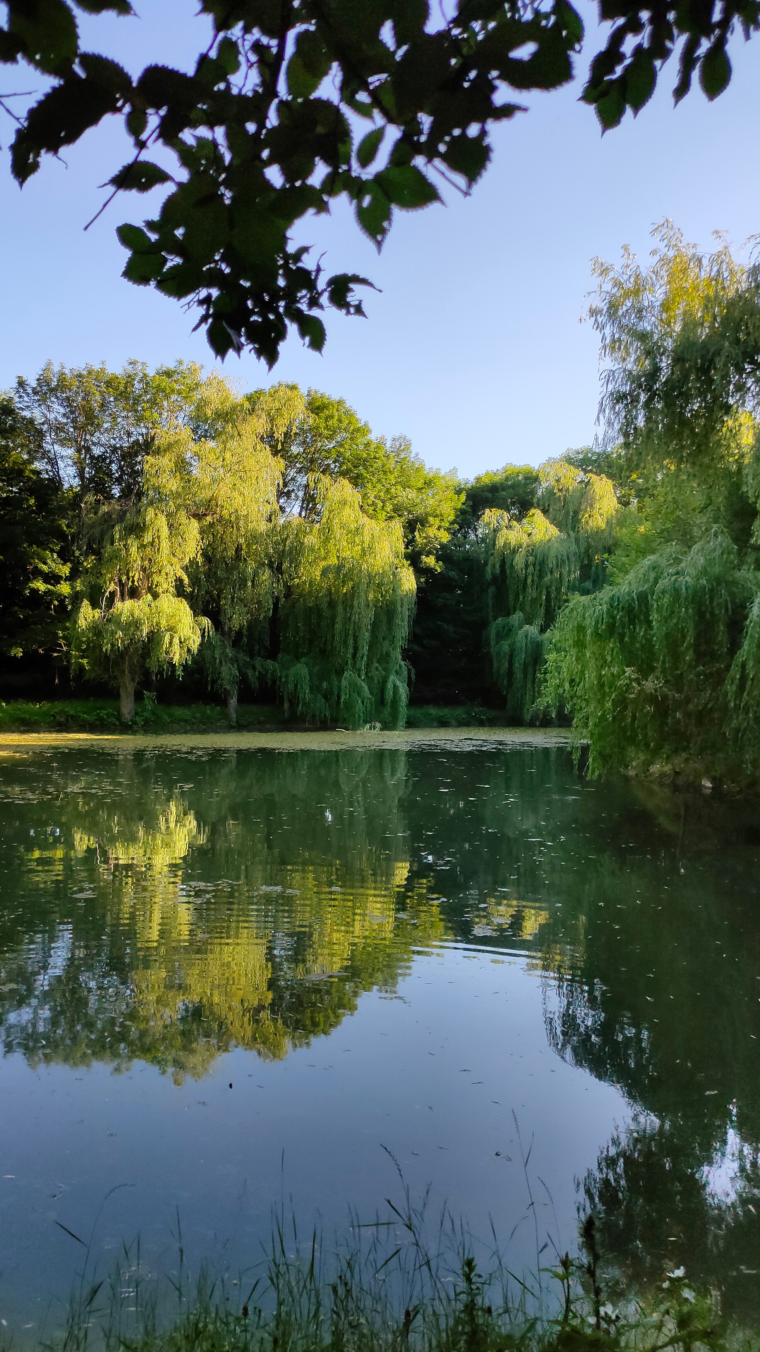 Фото Купольный домик в горах Крыма