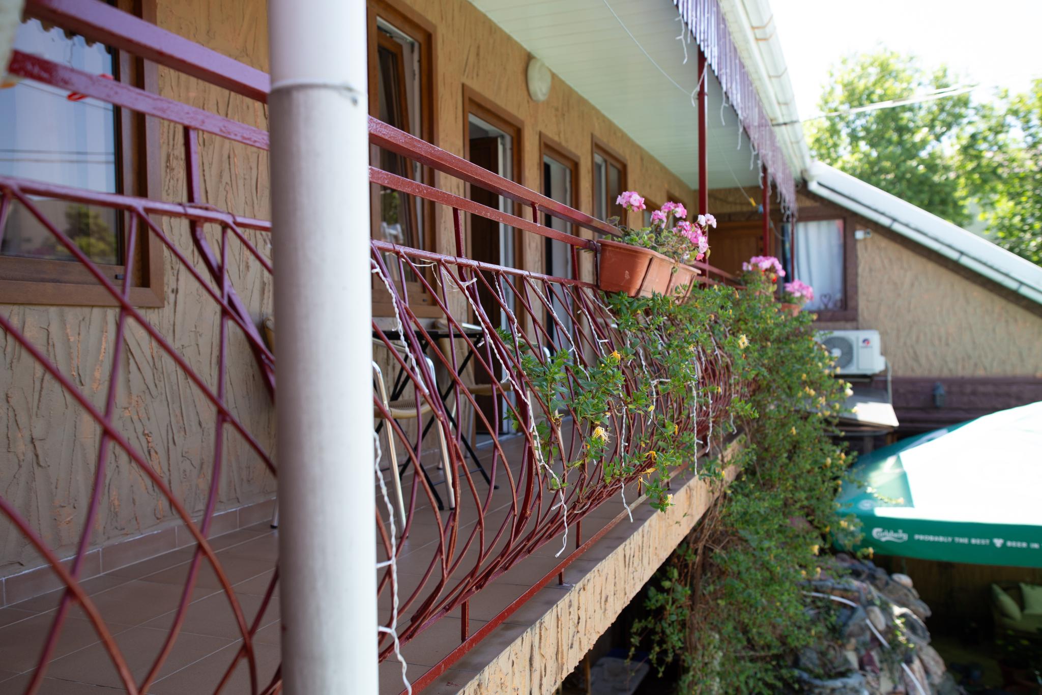 Фото Камелот