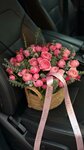 Flora Flowers05 (Magomedtagirova Street, 2), flower shop