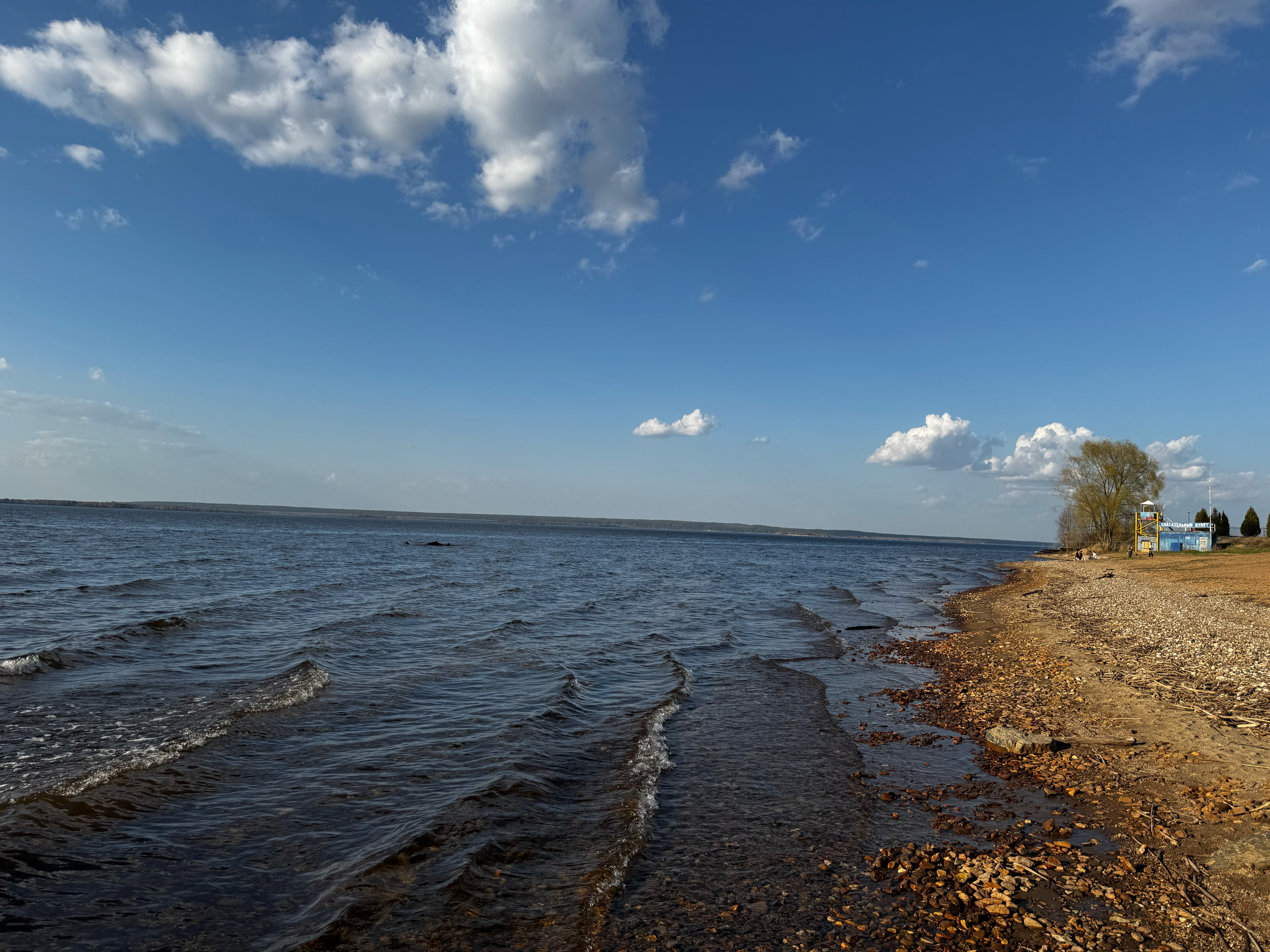 Фото Волжанка