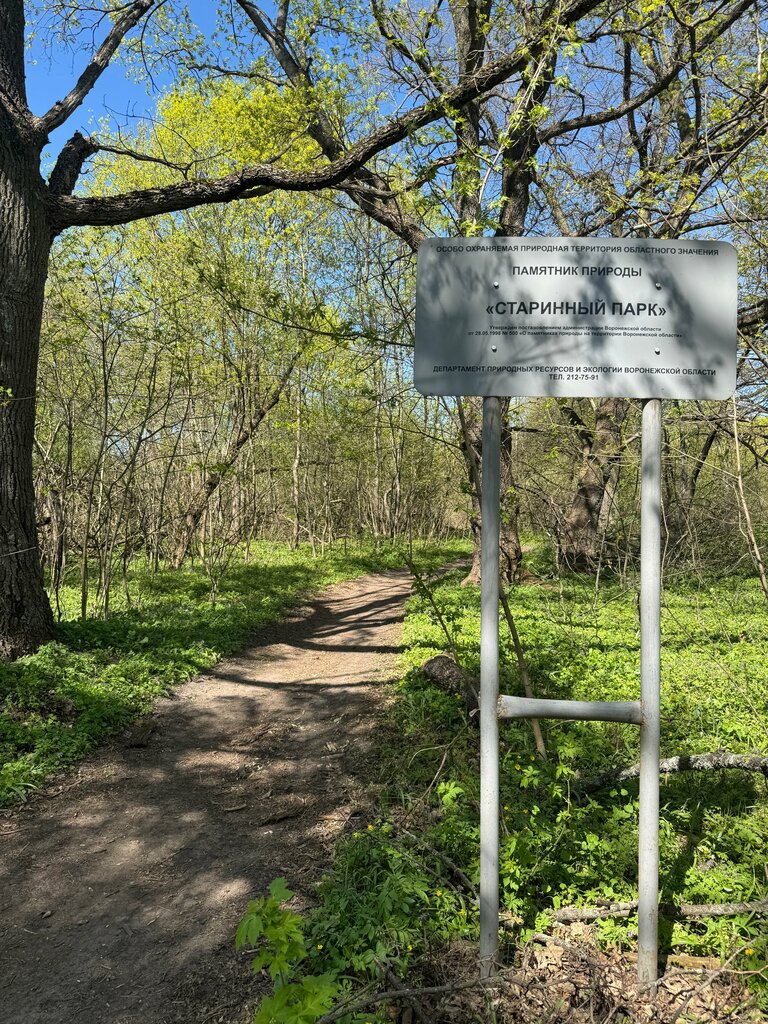 Nature reserve памятник природы областного значения Старинный парк, Voronezh Oblast, photo