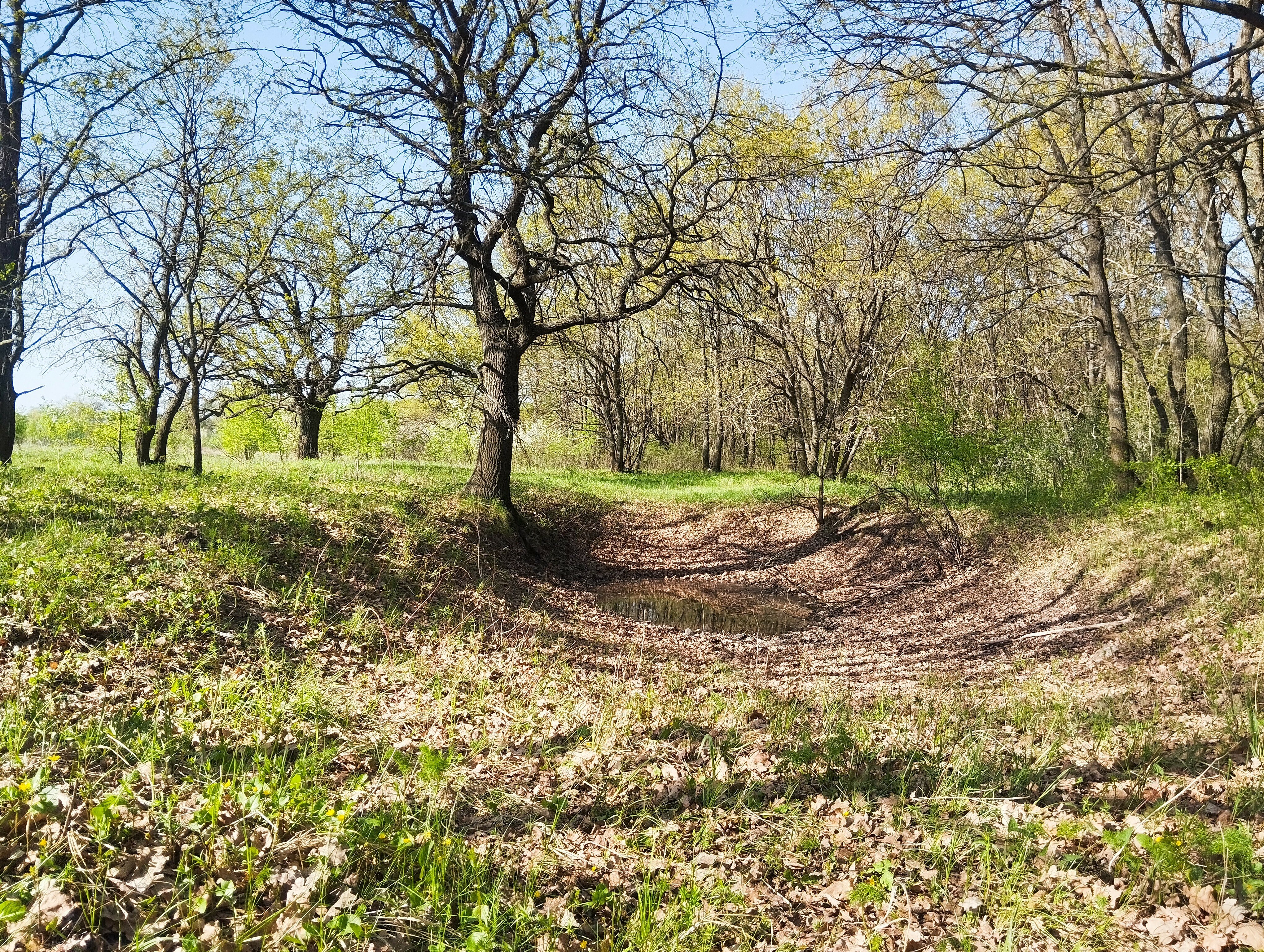 Фото Сказка