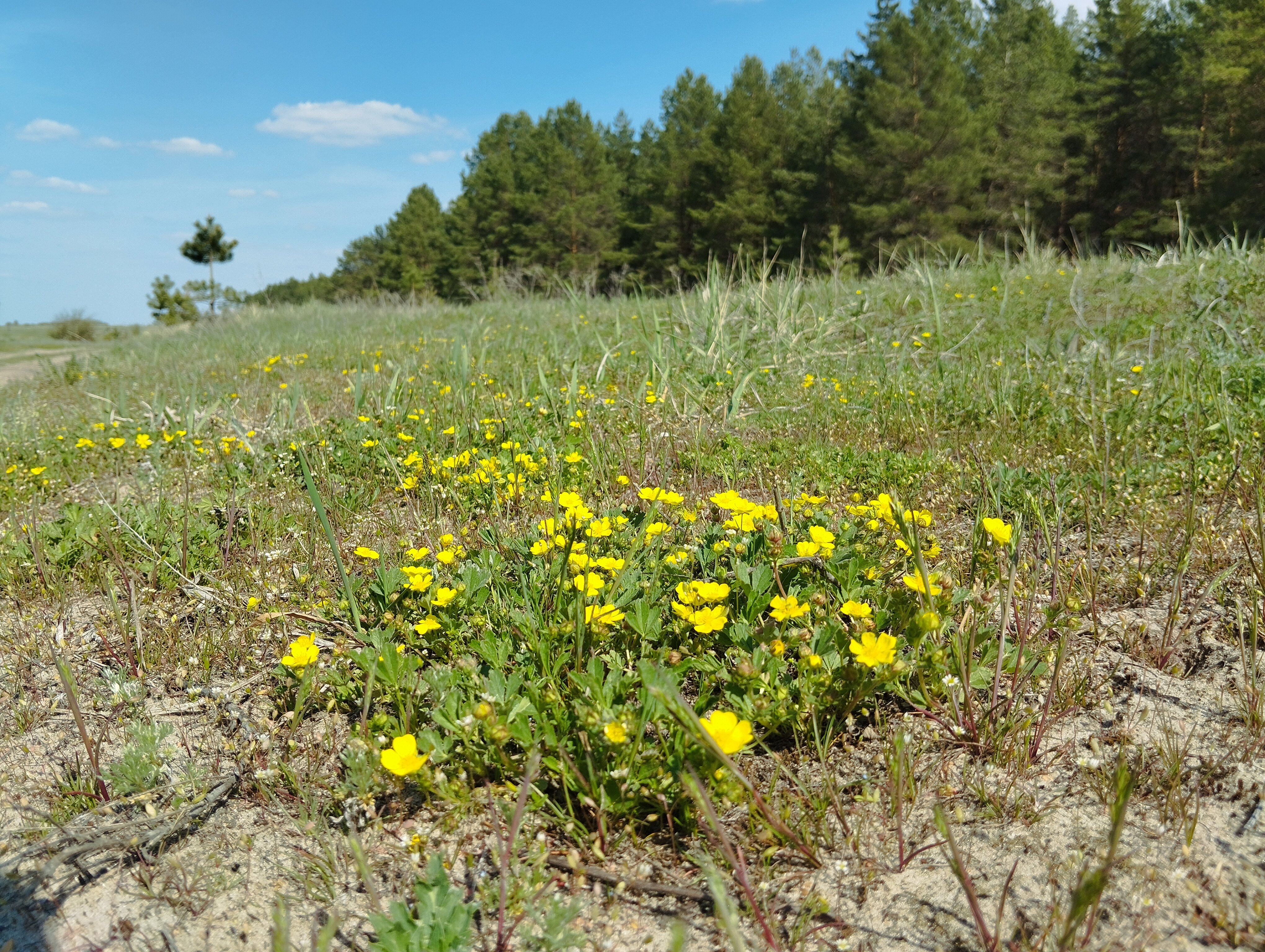 Фото Сказка