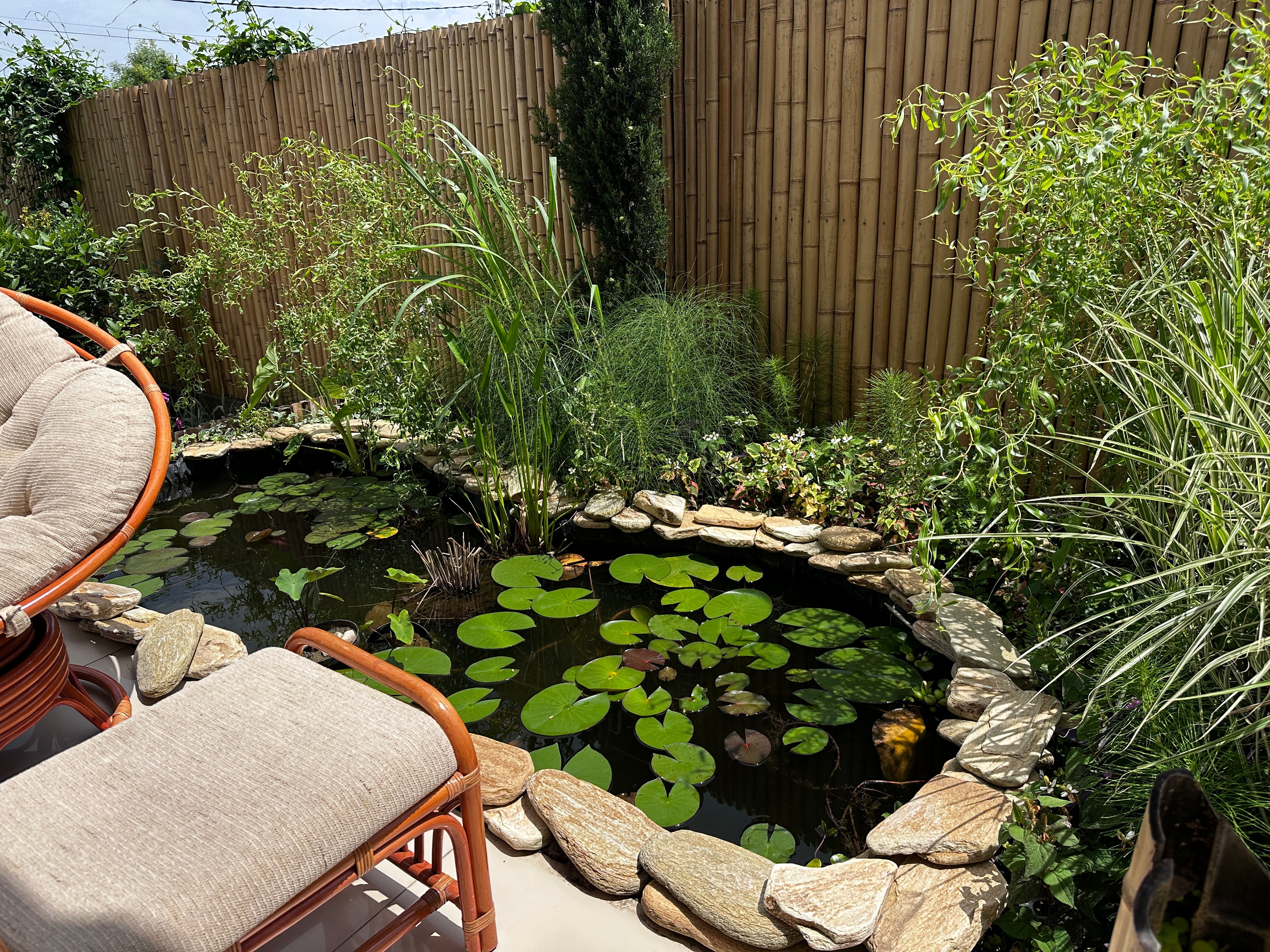 Фото Вилла Чудачка