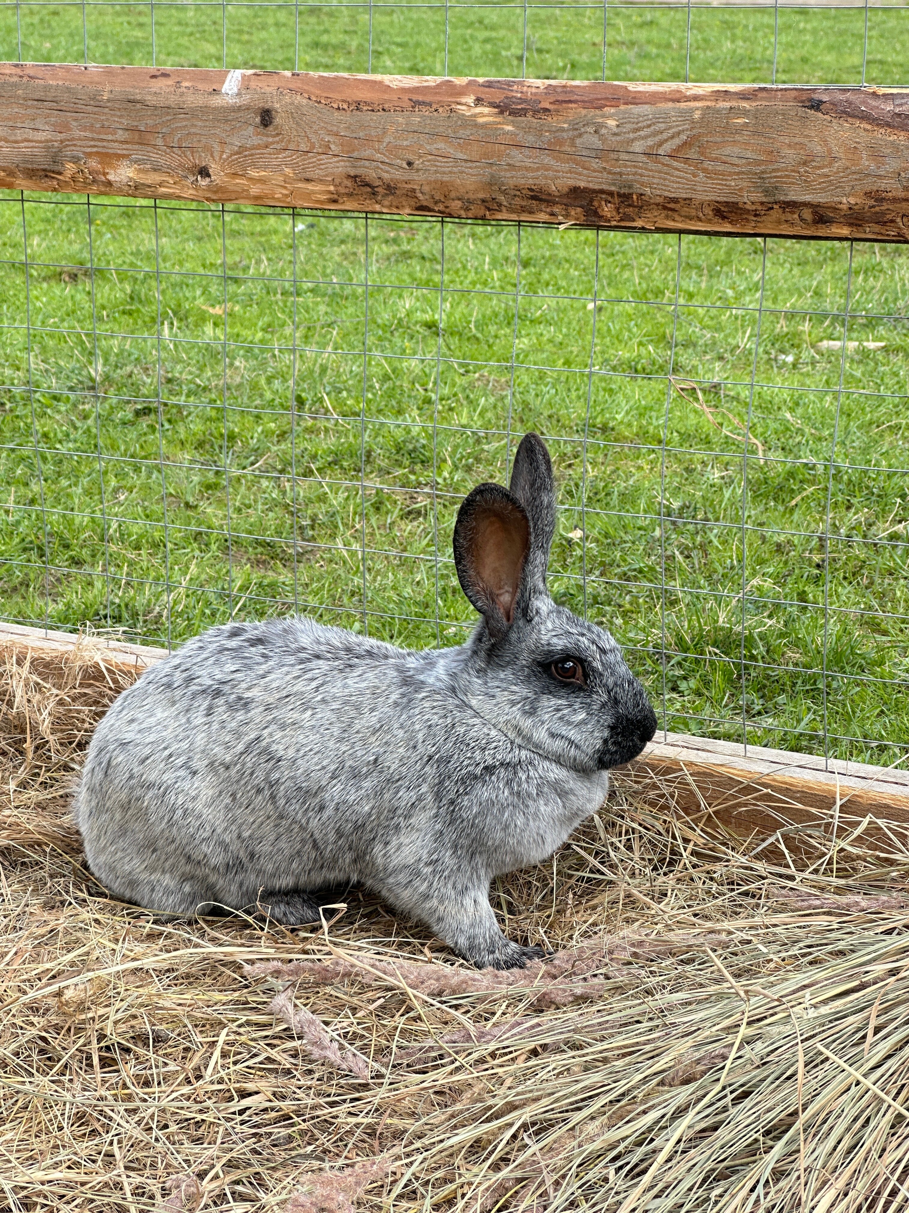 Фото Семейная экоферма