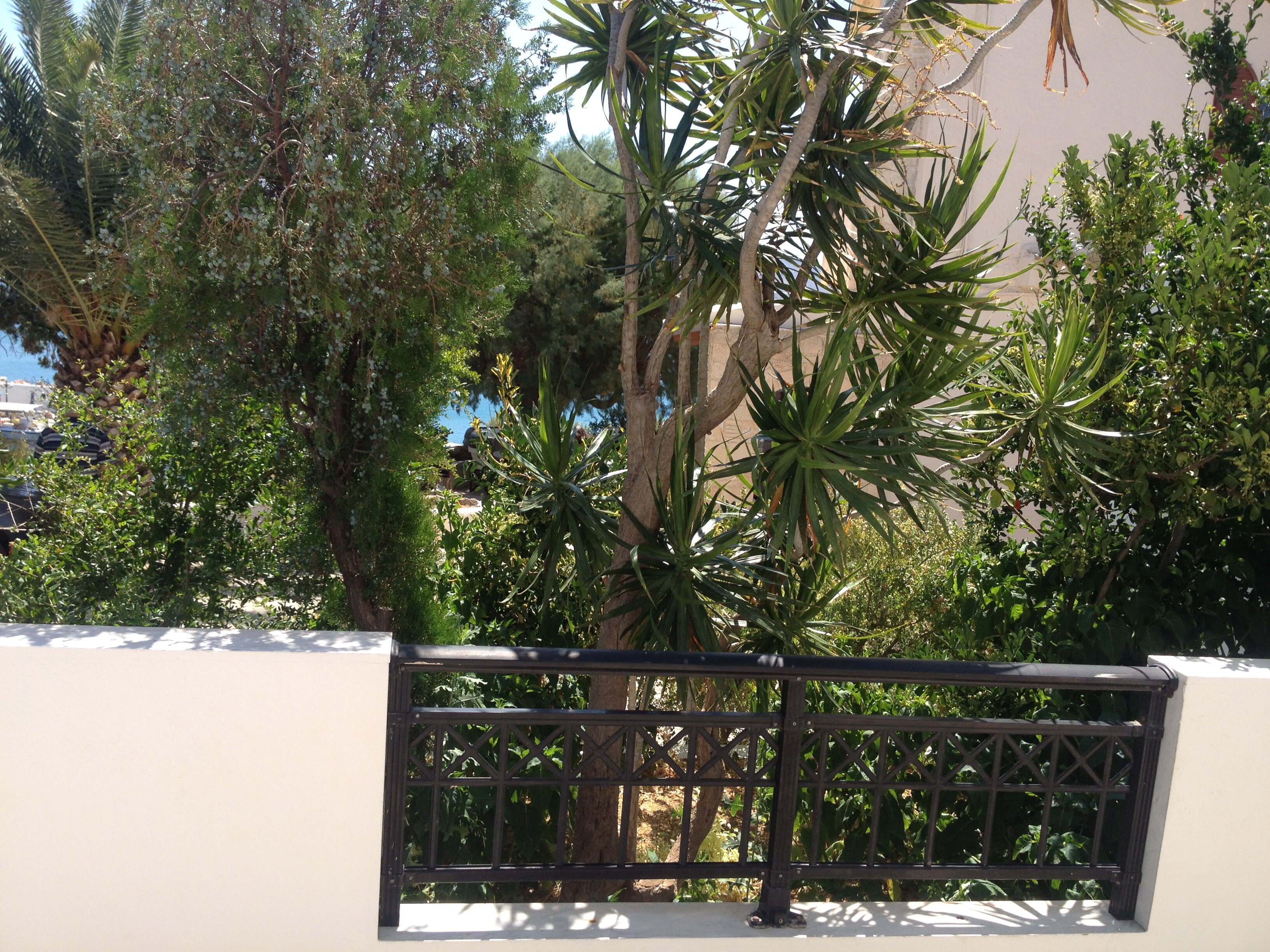 Фото Cretasun Apartments