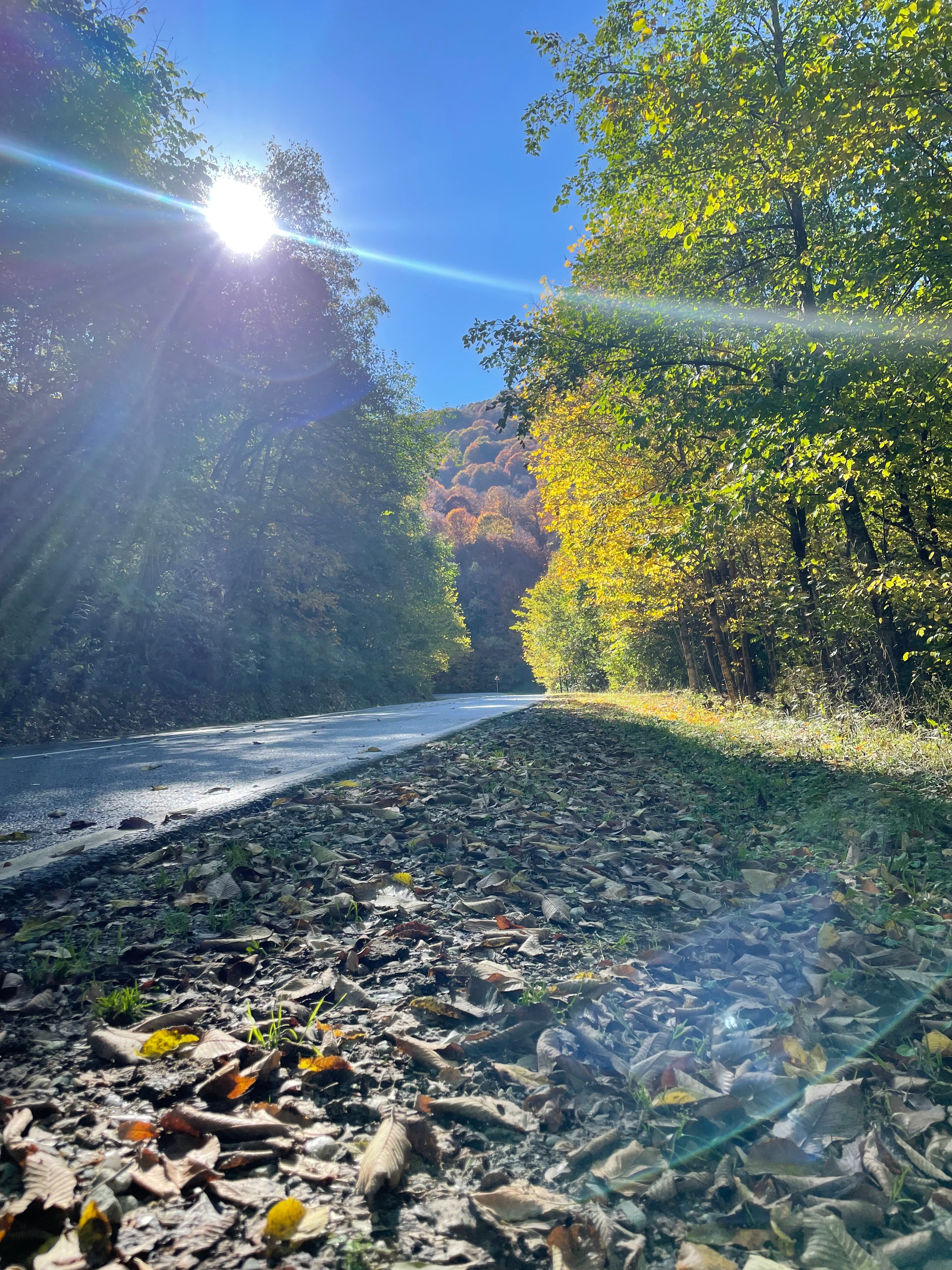 Фото Горный Пик