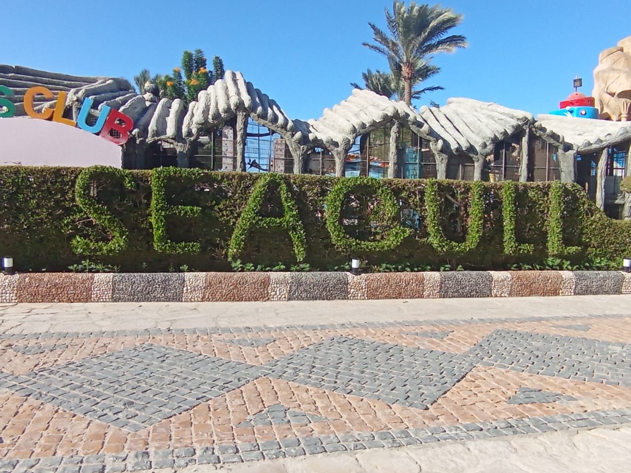 Фото Seagull Beach Resort