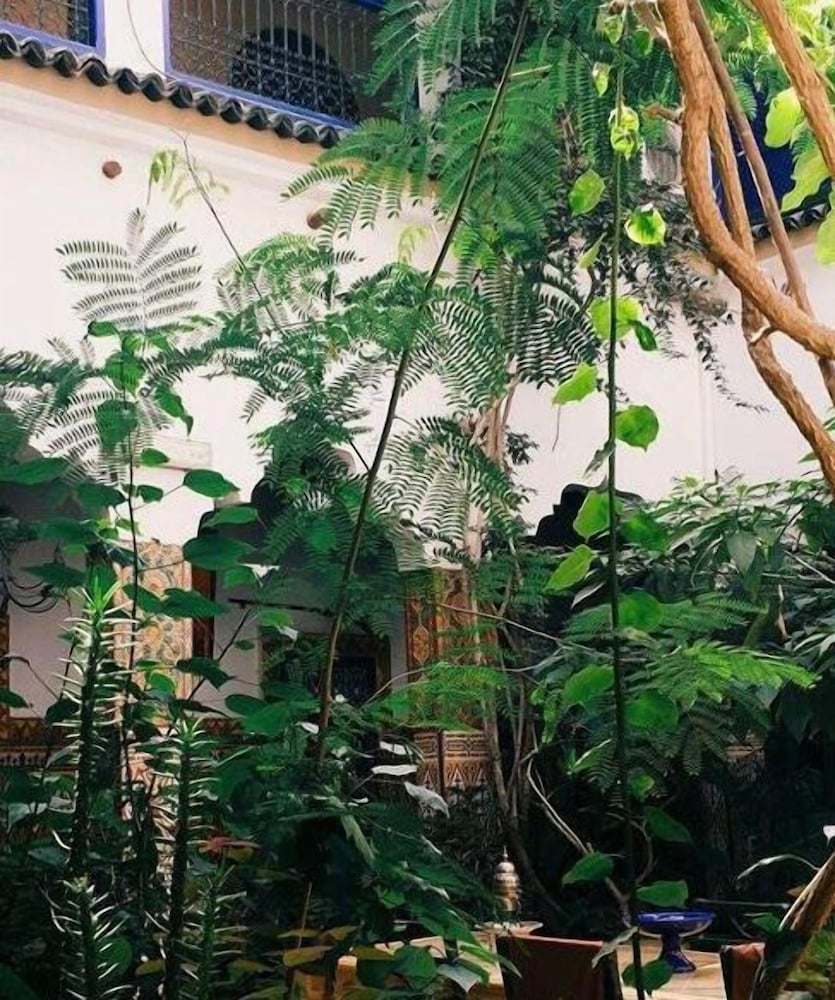 Фото Riad Maryam