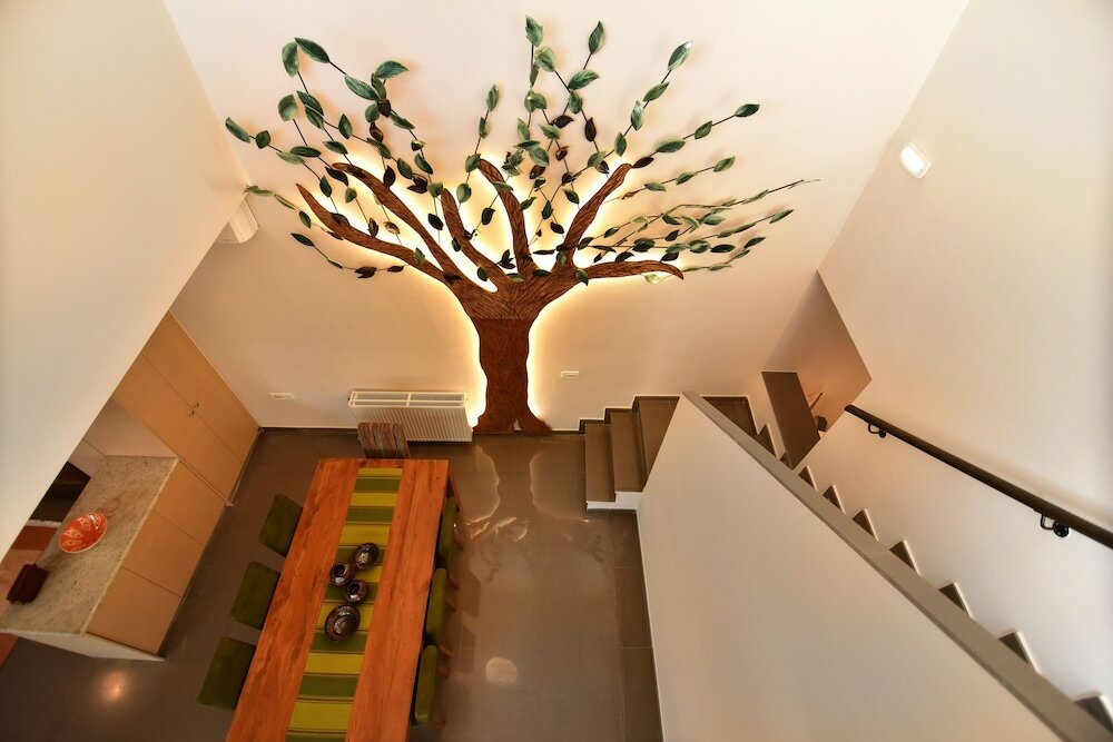 Фото Villa Olivia