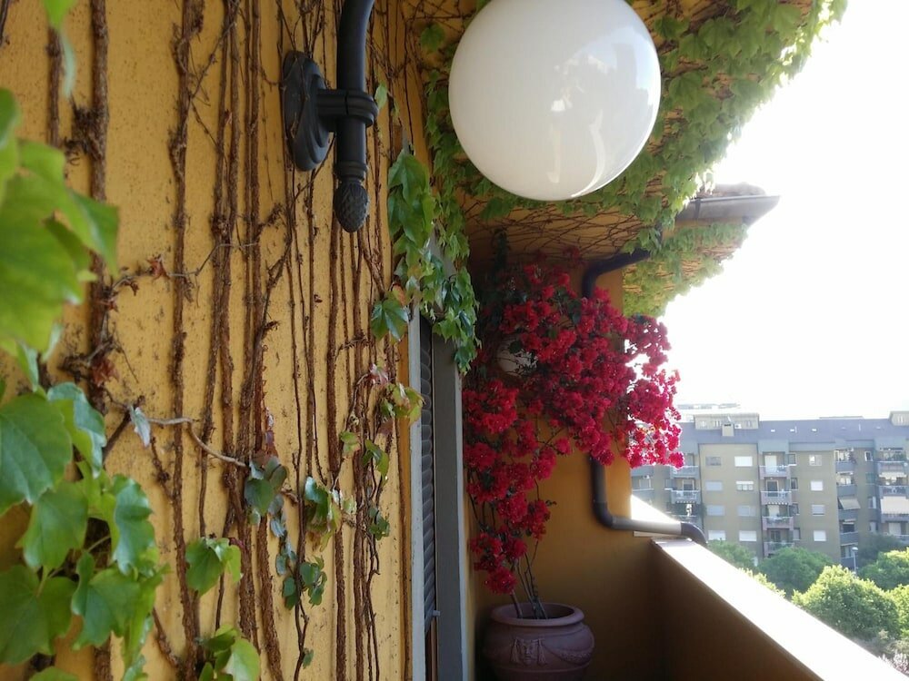 Фото B&b Tribunale