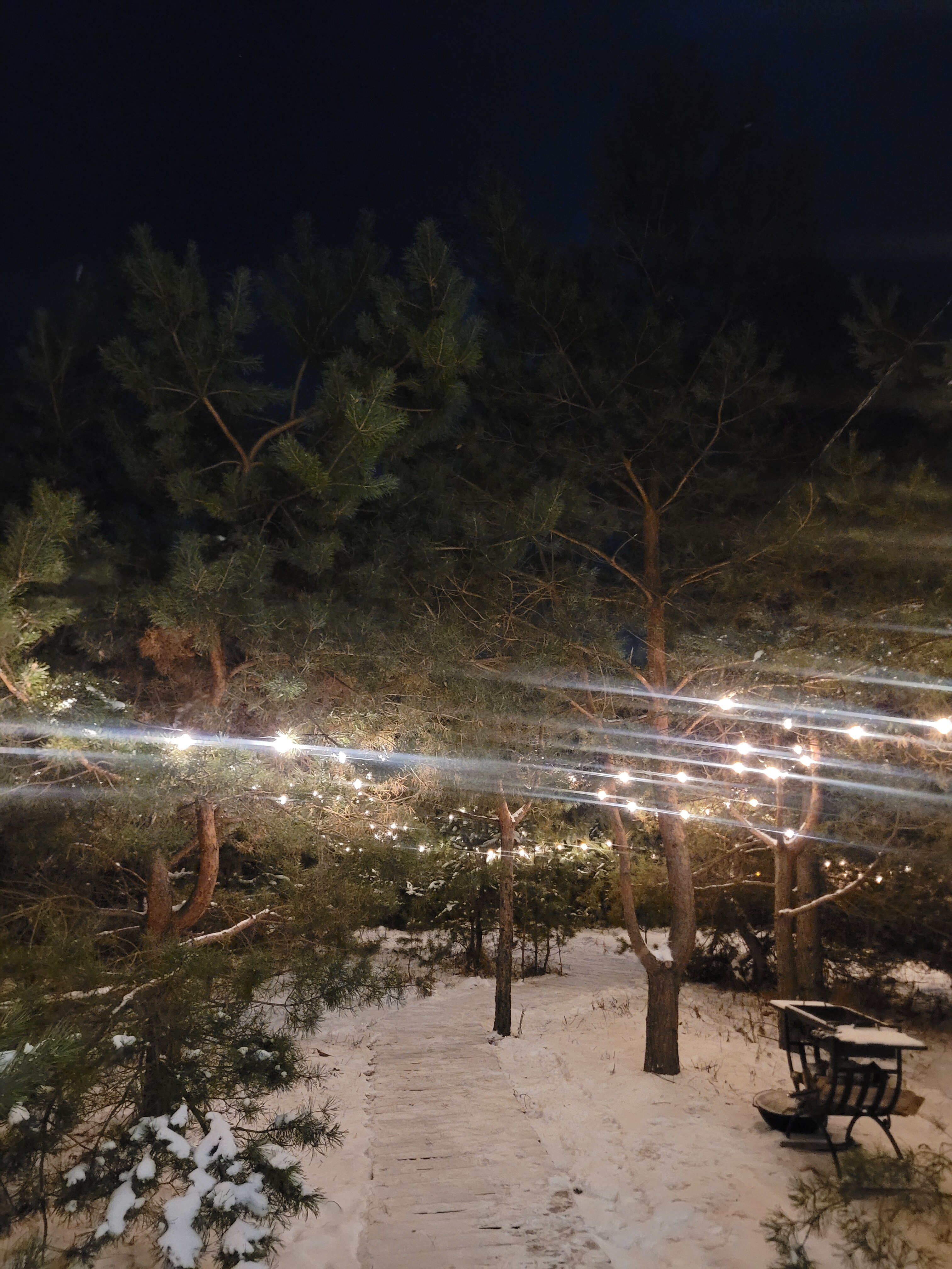 Фото Тишина