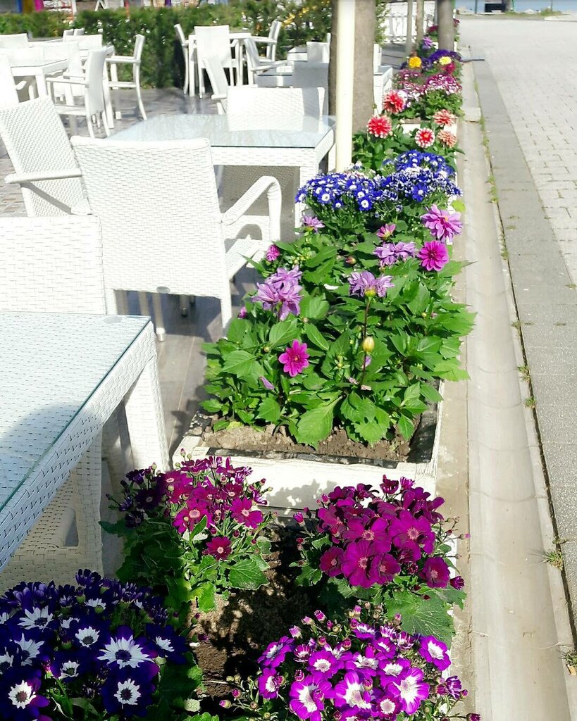 Cafe Garden Sapanca, Sapanca, photo