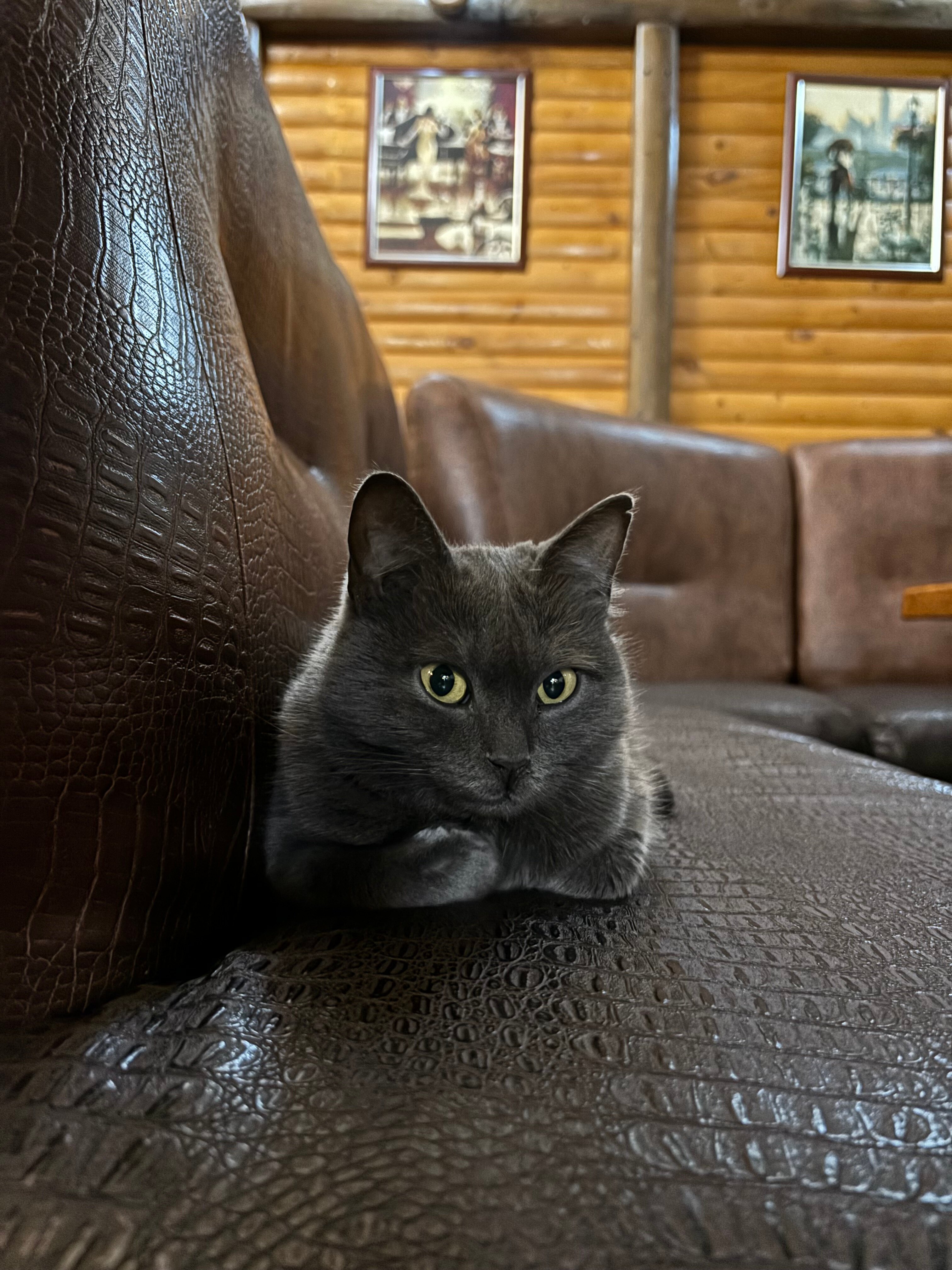 Фото Надежда