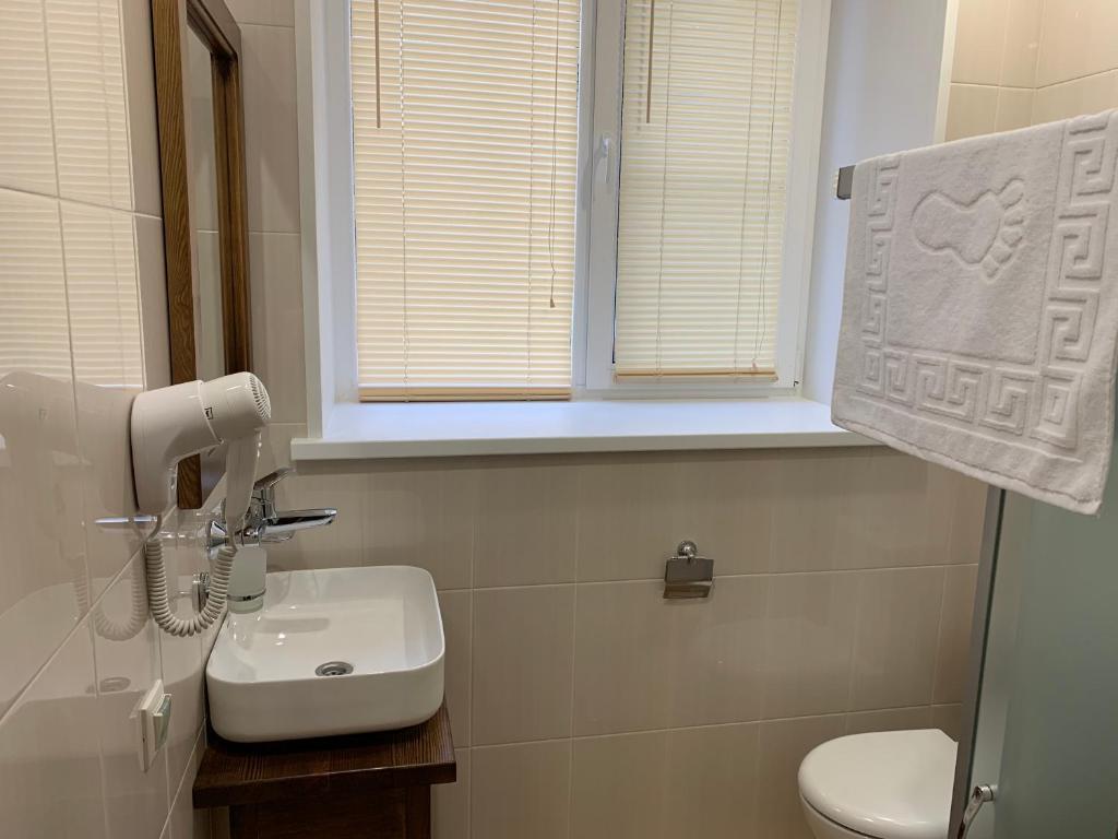 Фото Ромашка