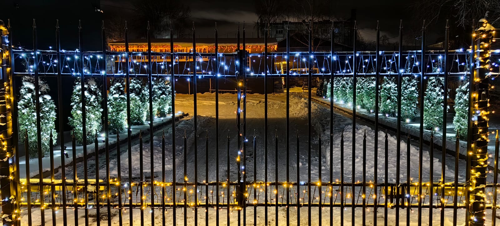 Фото Ласточкино гнездо