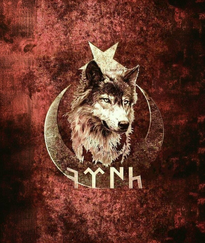 School Tepecik Middle School, Seferihisar, photo