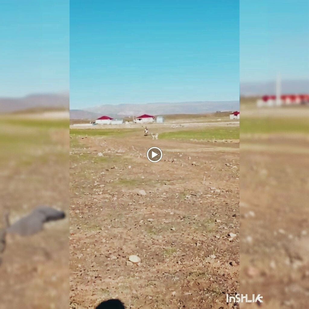 School Toklular Middle School, Karliova, photo