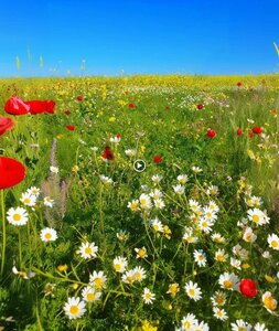 Silvan Castle Walls (Diyarbakır, Silvan, Evli Beden Cad.), landmark, attraction